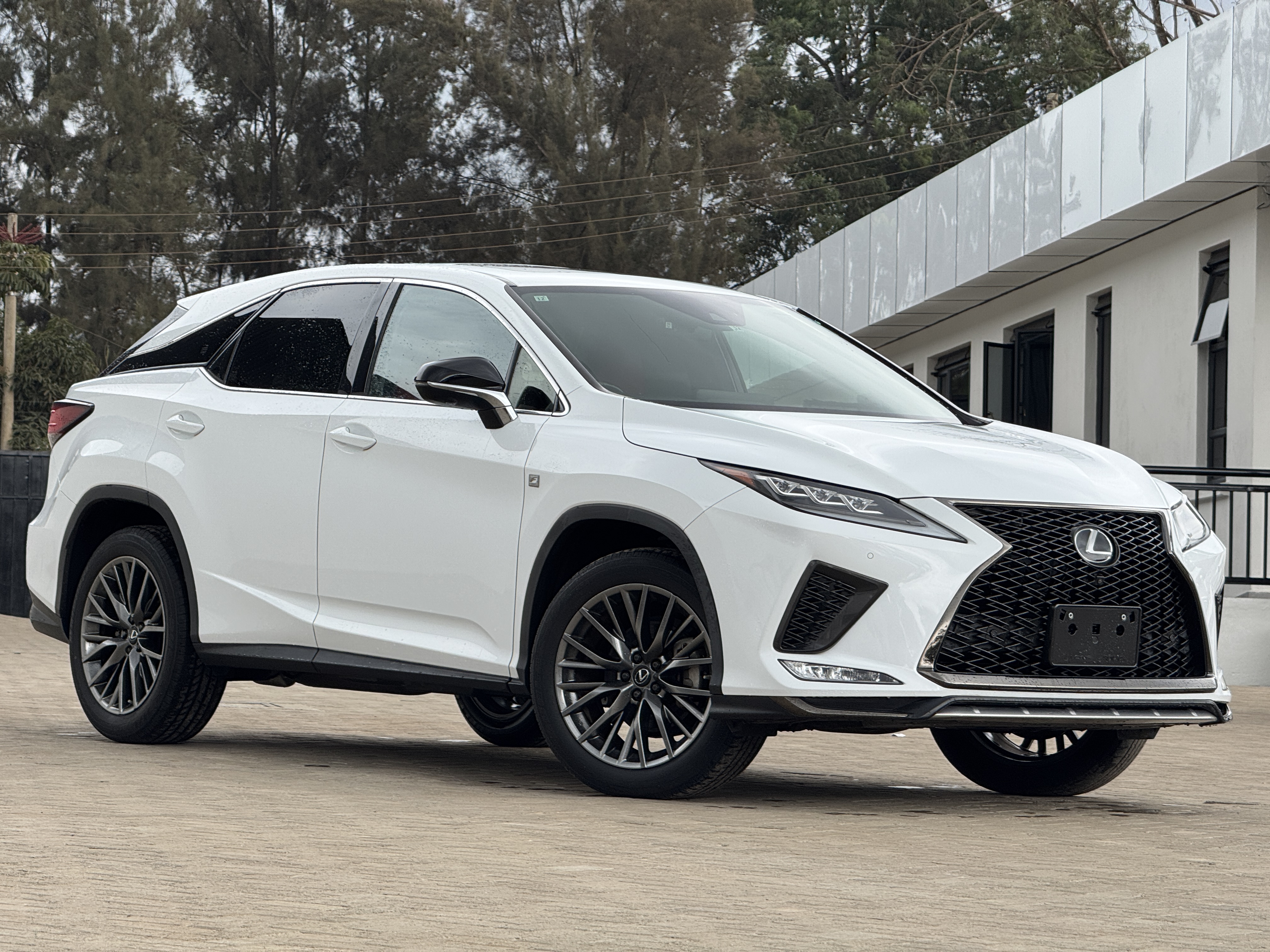 2019 LEXUS RX300