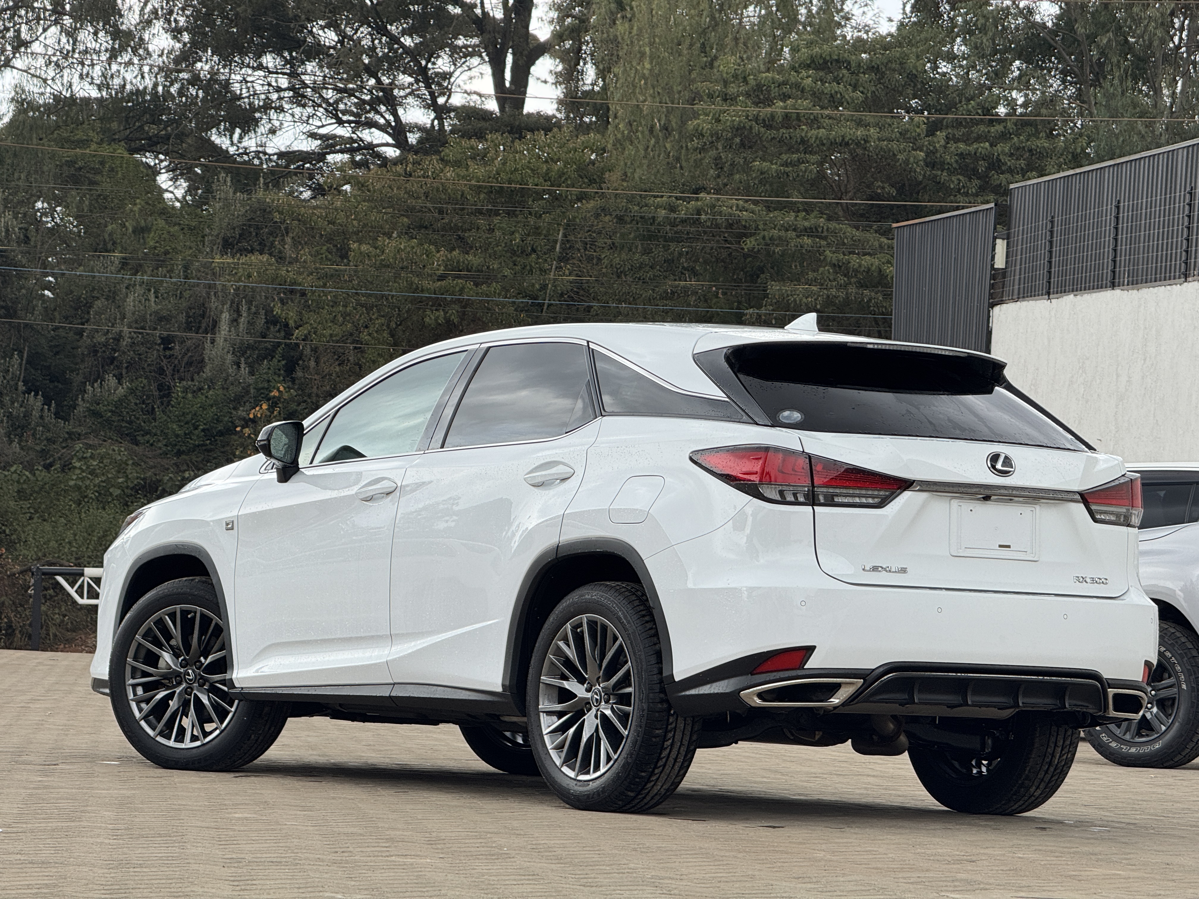 2019 LEXUS RX300