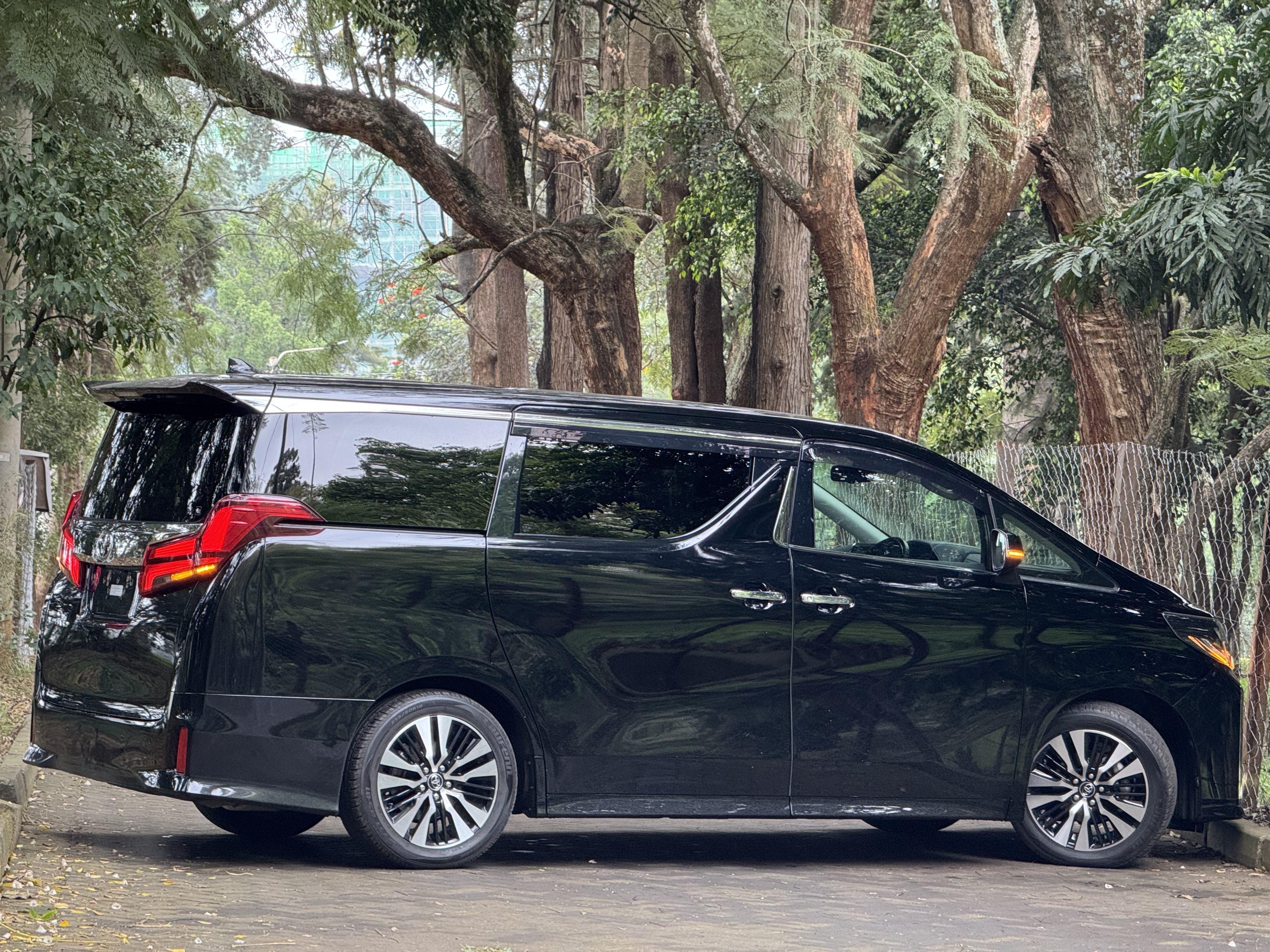 2019 TOYOTA ALPHARD