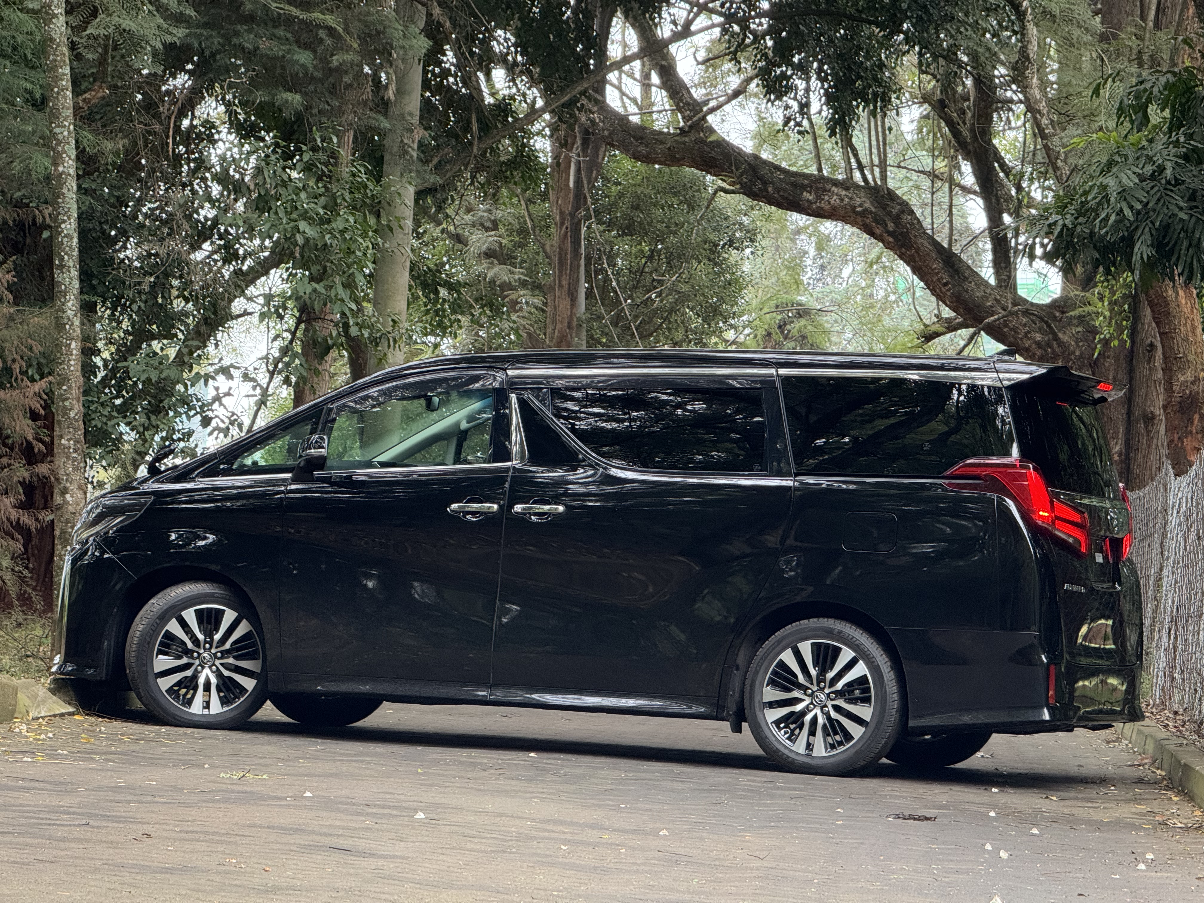 2019 TOYOTA ALPHARD
