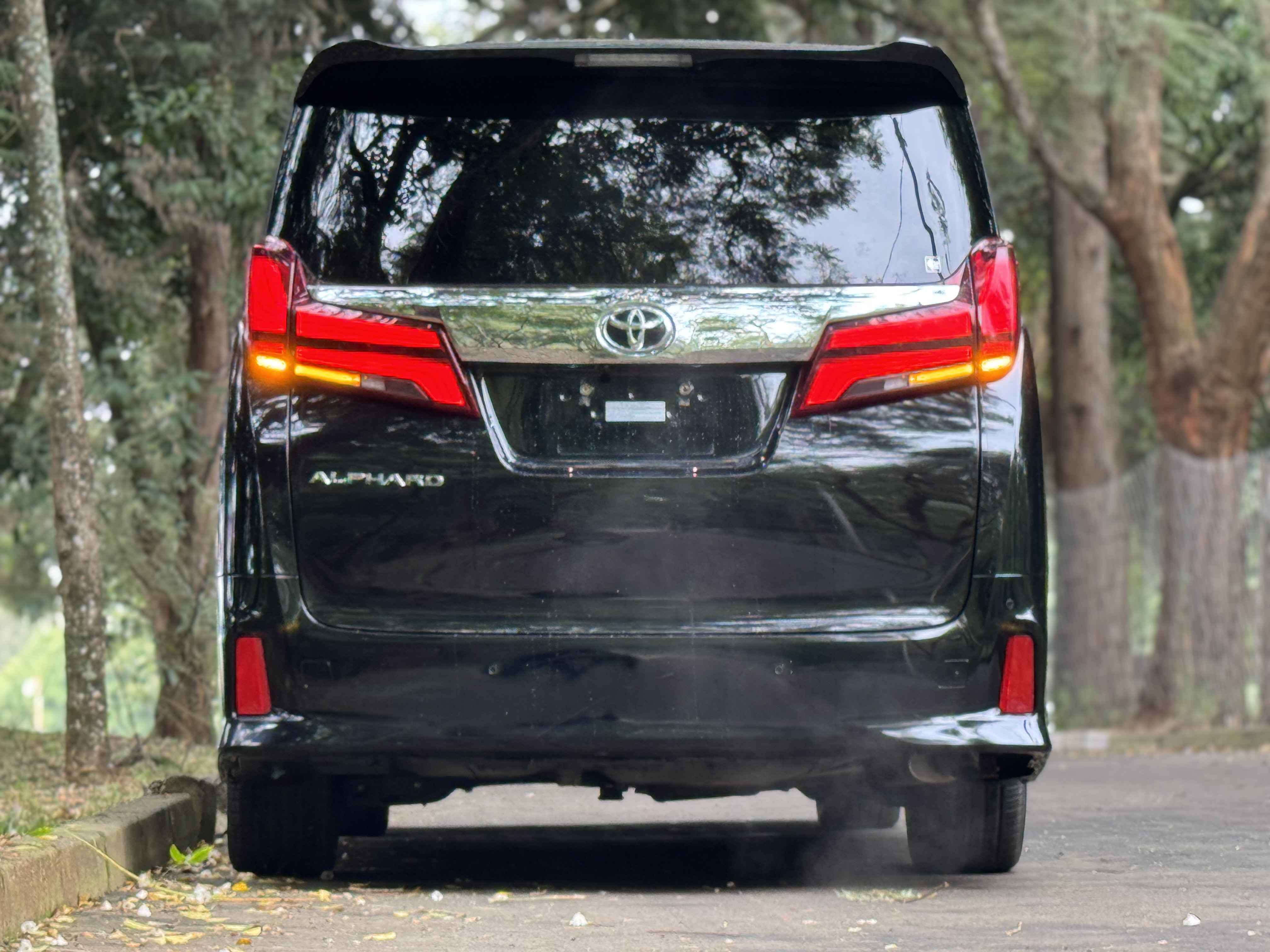 2019 TOYOTA ALPHARD