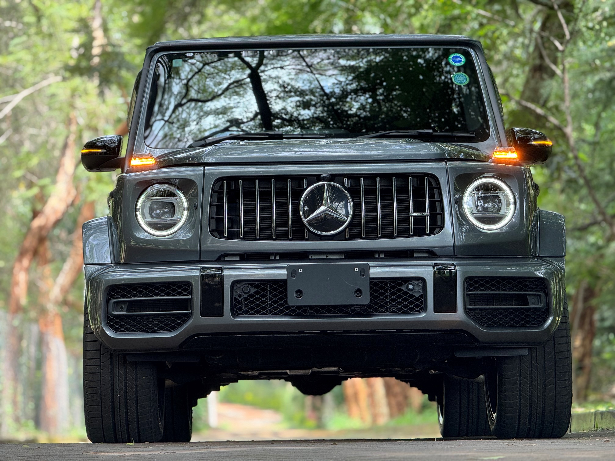 2019 MERCEDES BENZ G63