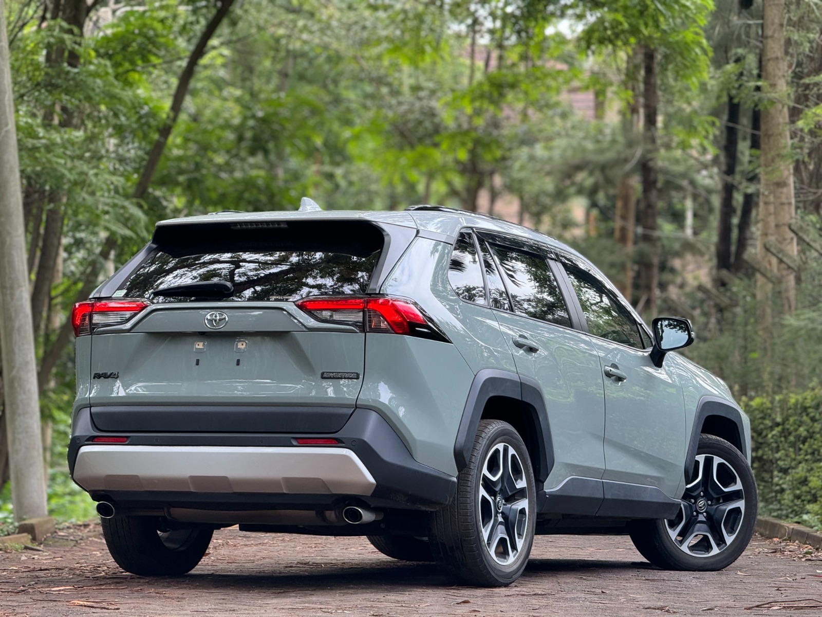 2019 TOYOTA RAV4 ADVENTURE