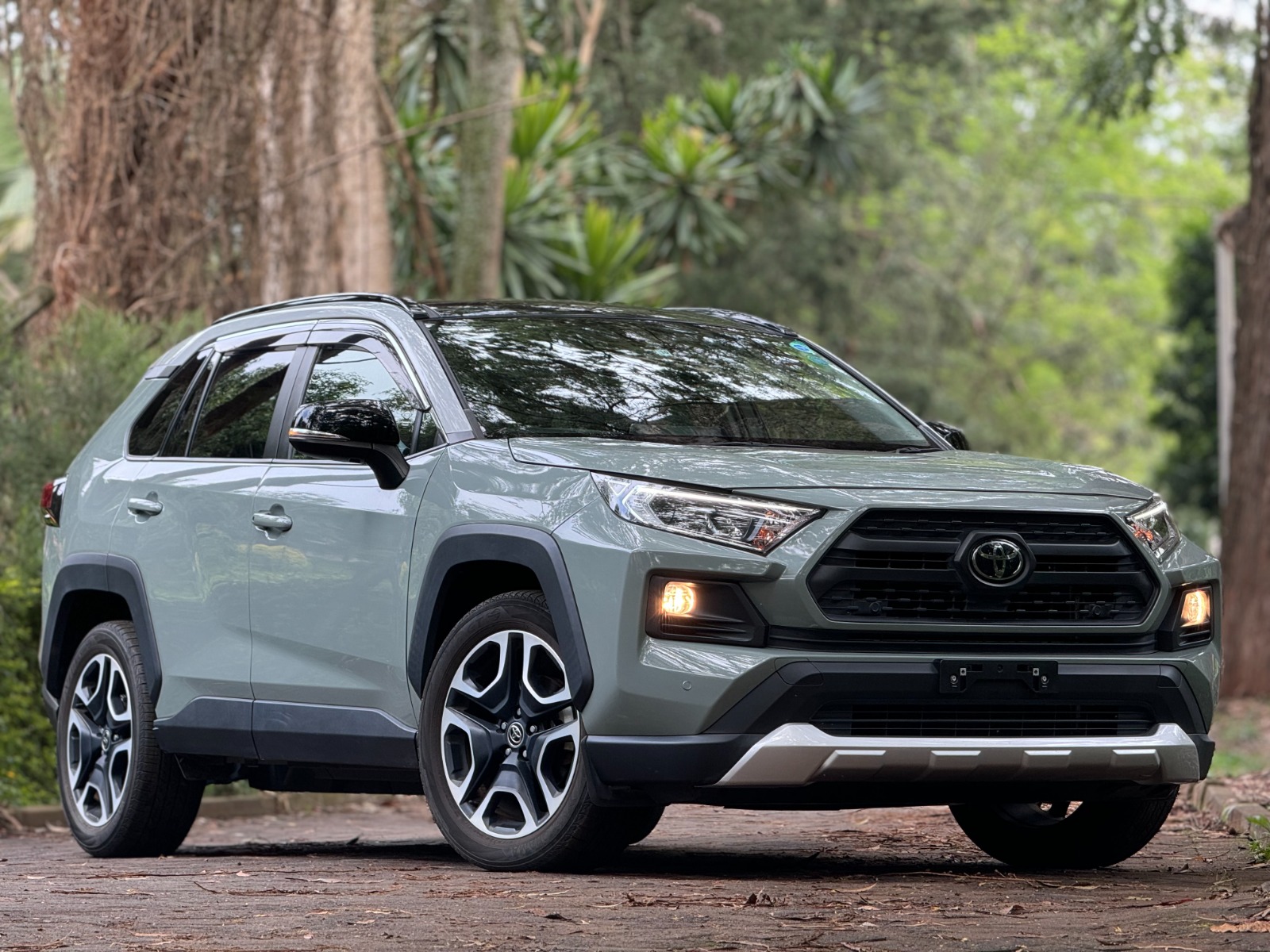 2019 TOYOTA RAV4 ADVENTURE