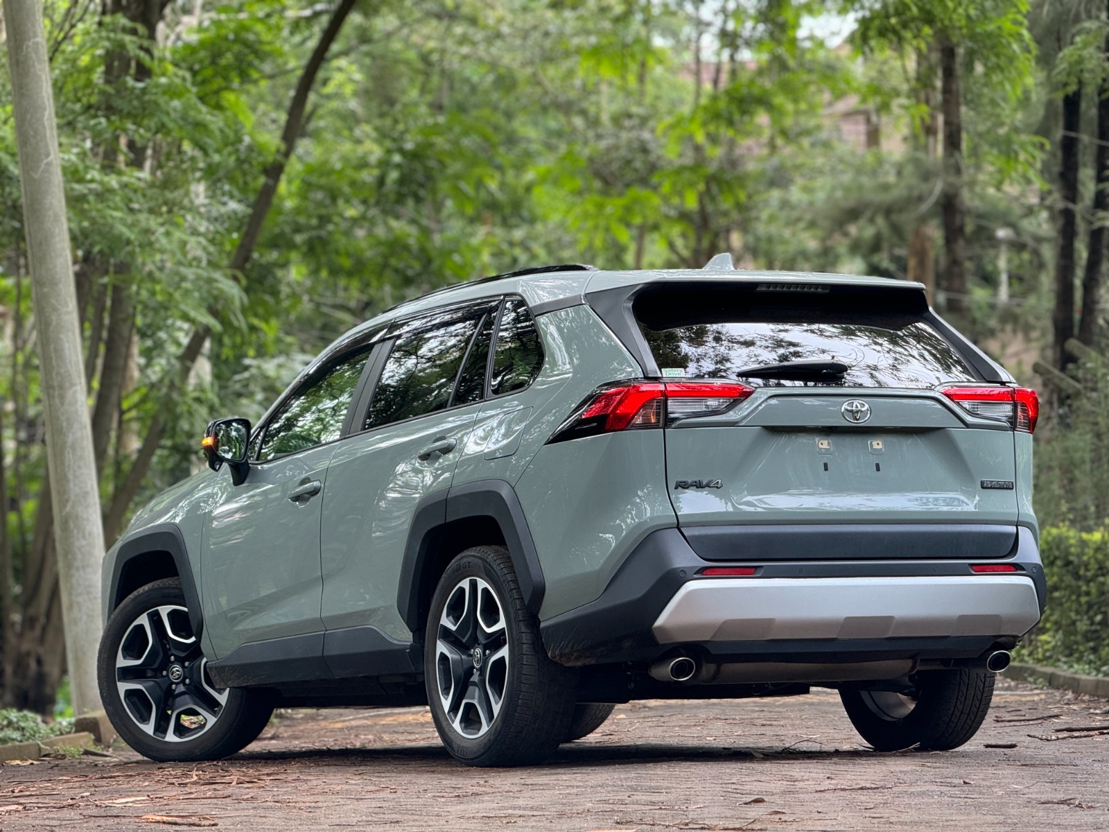 2019 TOYOTA RAV4 ADVENTURE