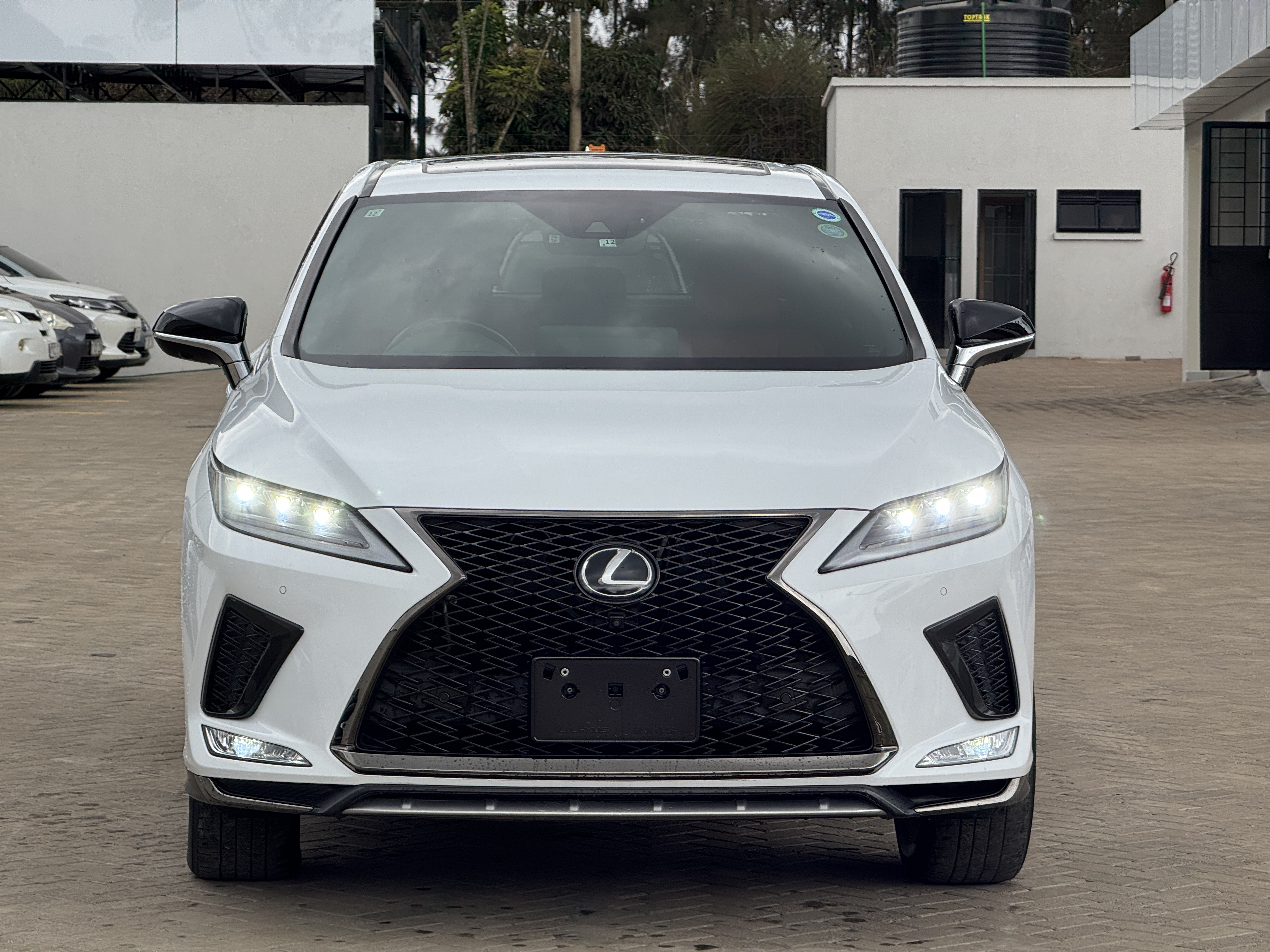 2019 LEXUS RX300