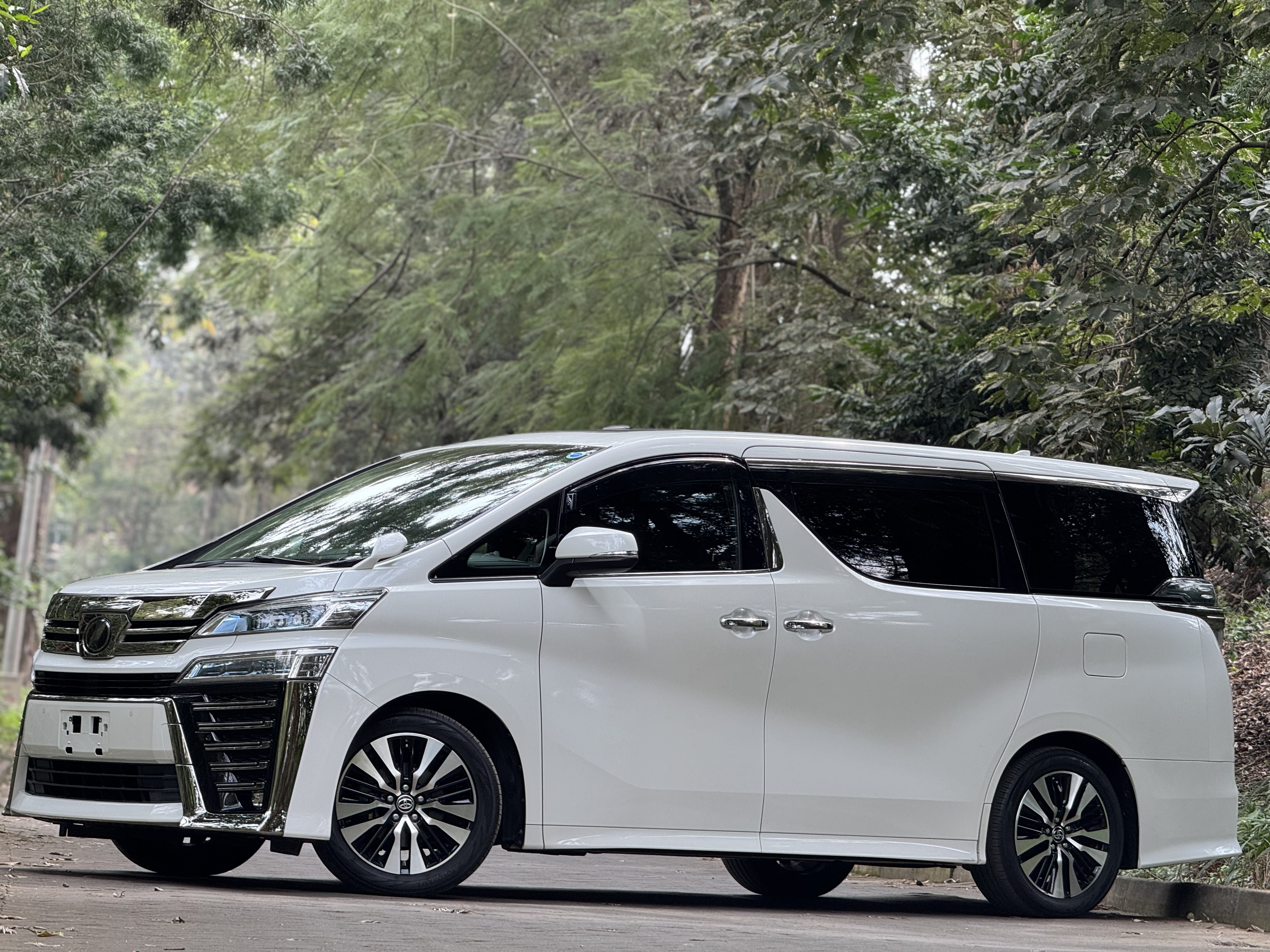 2019 TOYOTA VELLFIRE