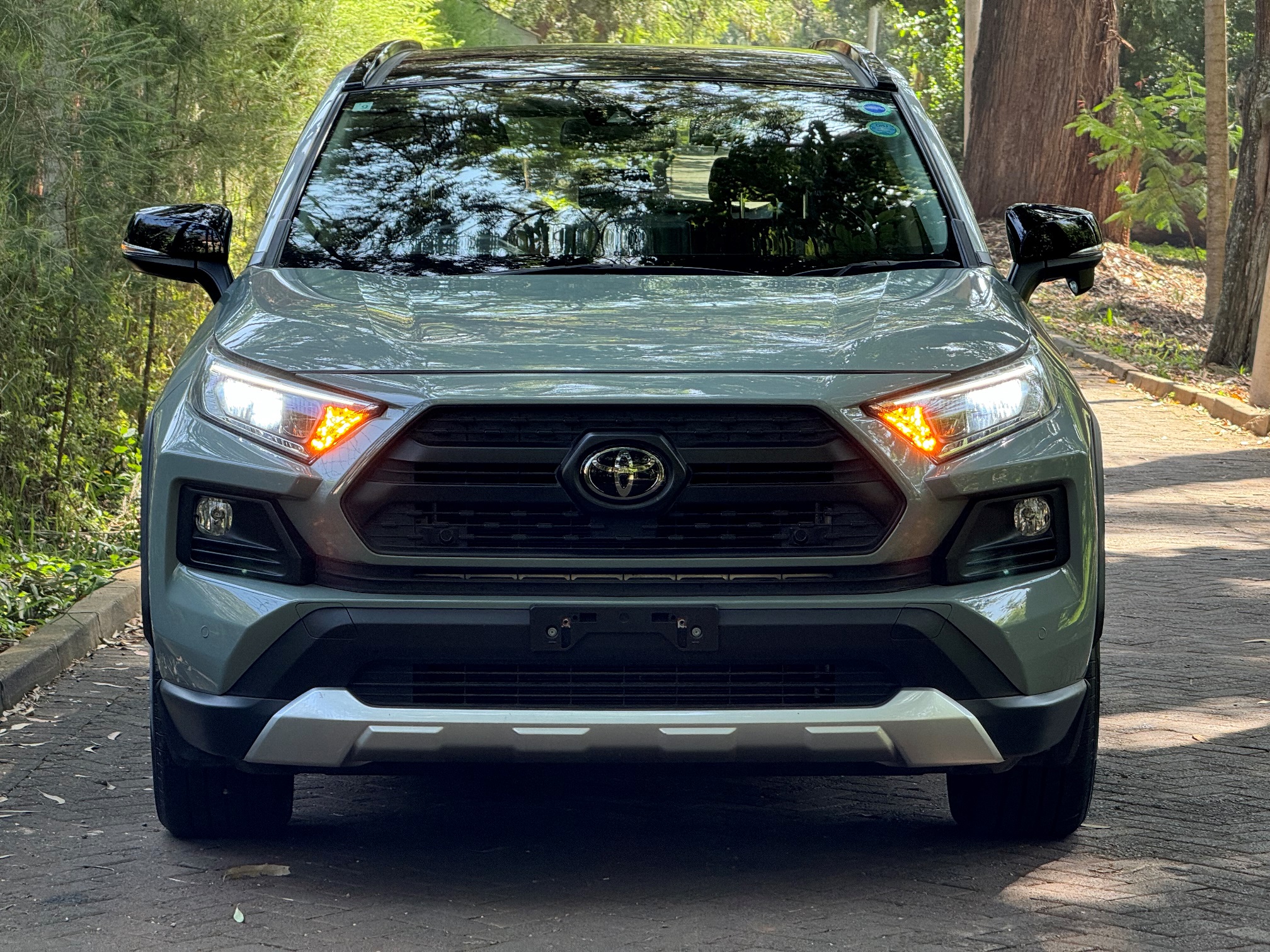 TOYOTA RAV4 ADVENTURE