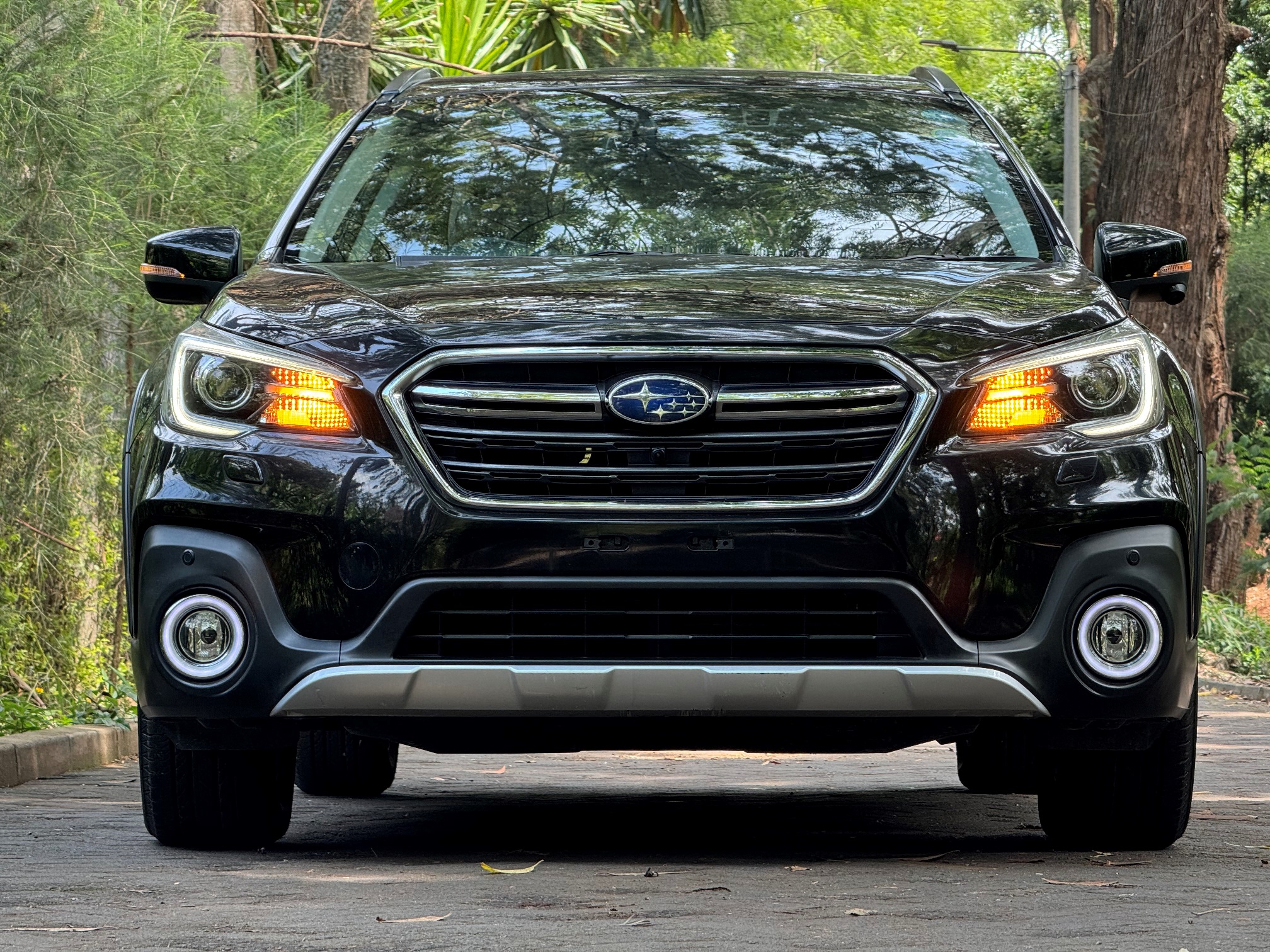 SUBARU OUTBACK