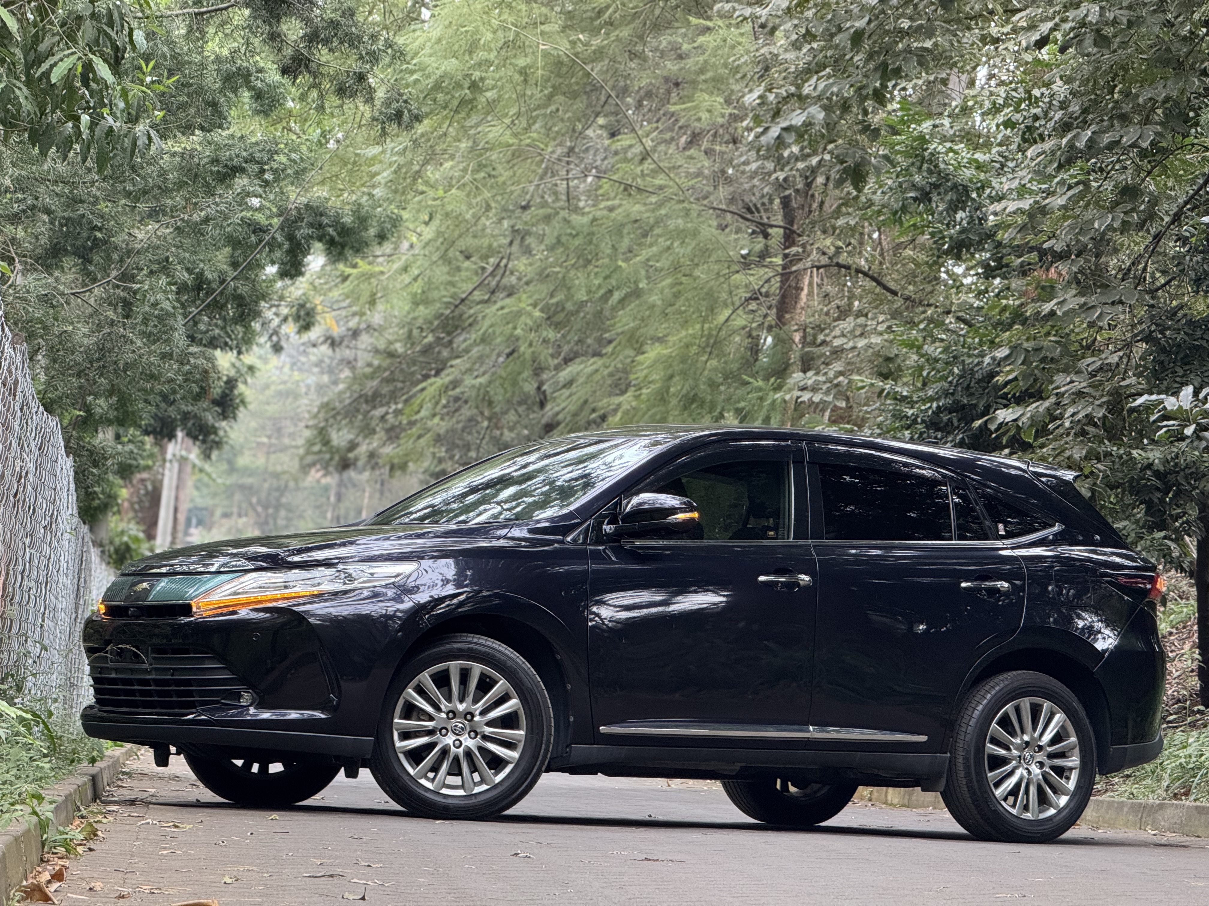 2019 TOYOTA HARRIER
