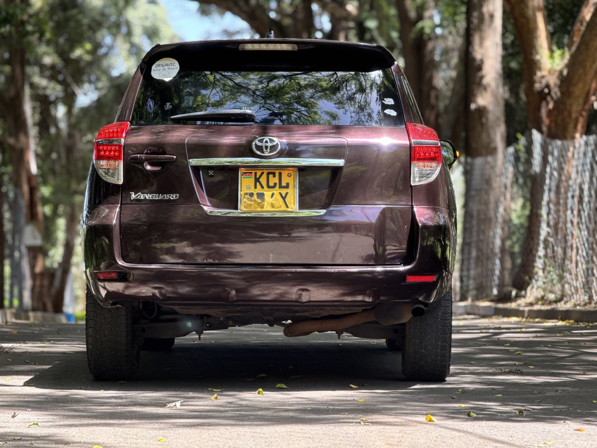 2010 TOYOTA VANGUARD