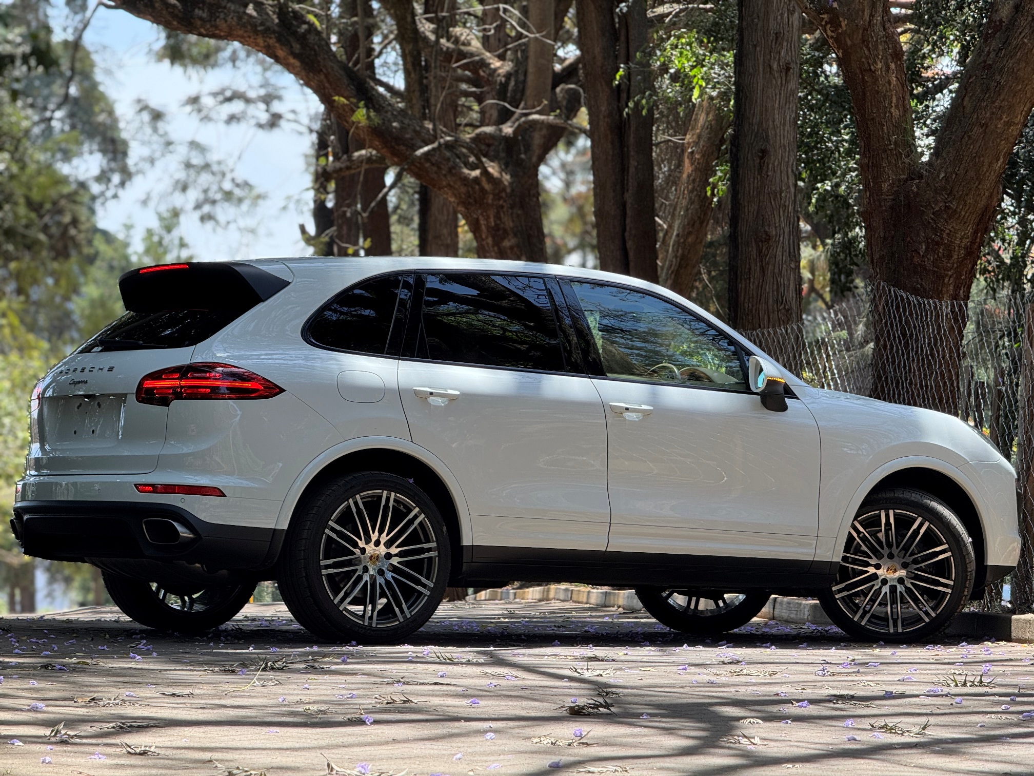 PORSCHE CAYENNE PLATINUM EDITION