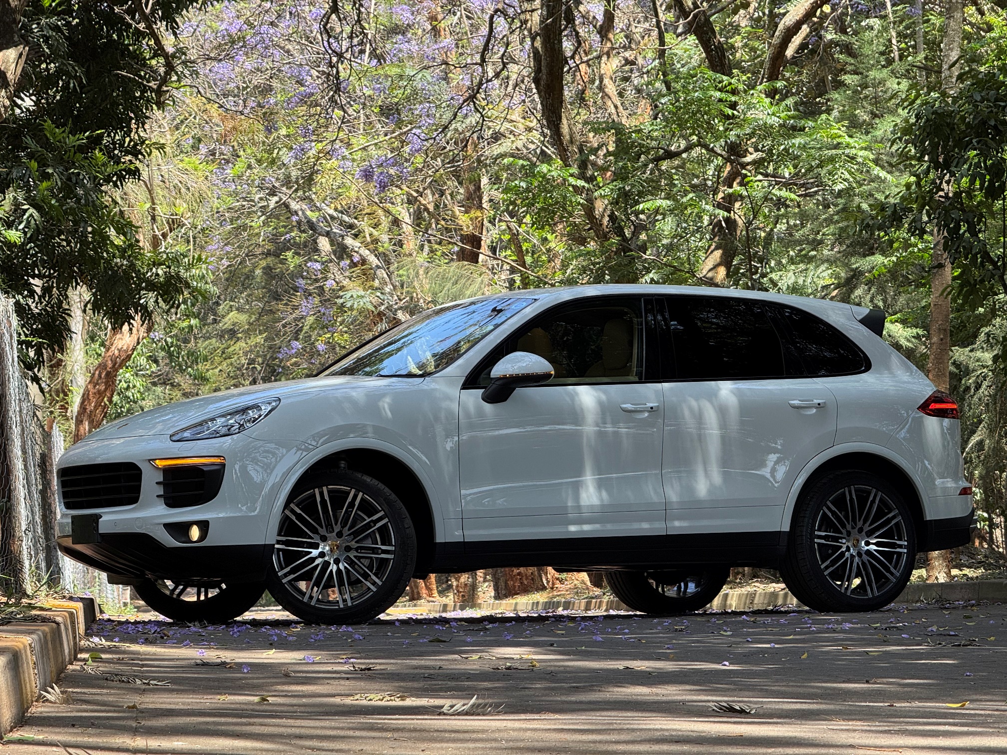 PORSCHE CAYENNE PLATINUM EDITION
