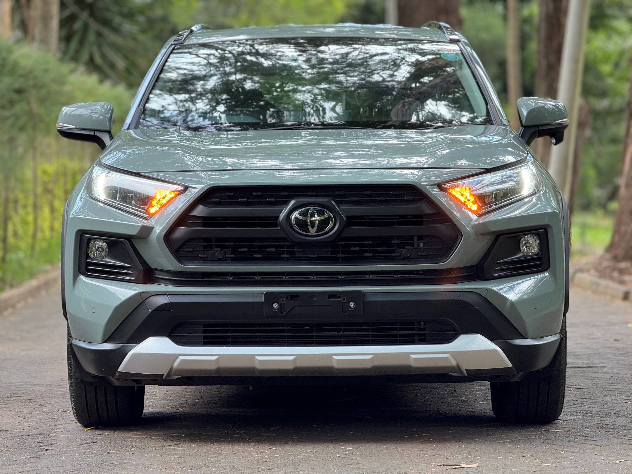 TOYOTA RAV4 ADVENTURE