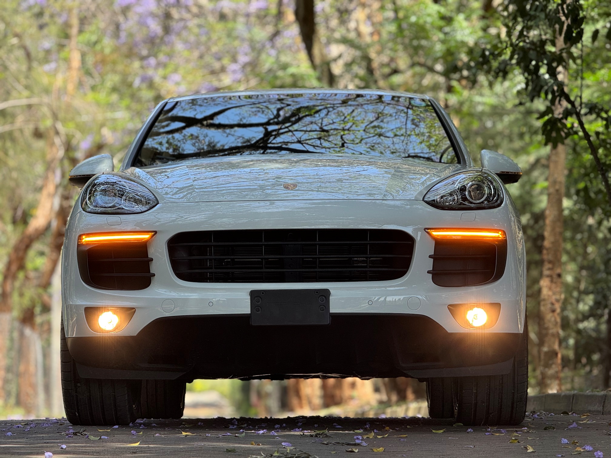 PORSCHE CAYENNE PLATINUM EDITION