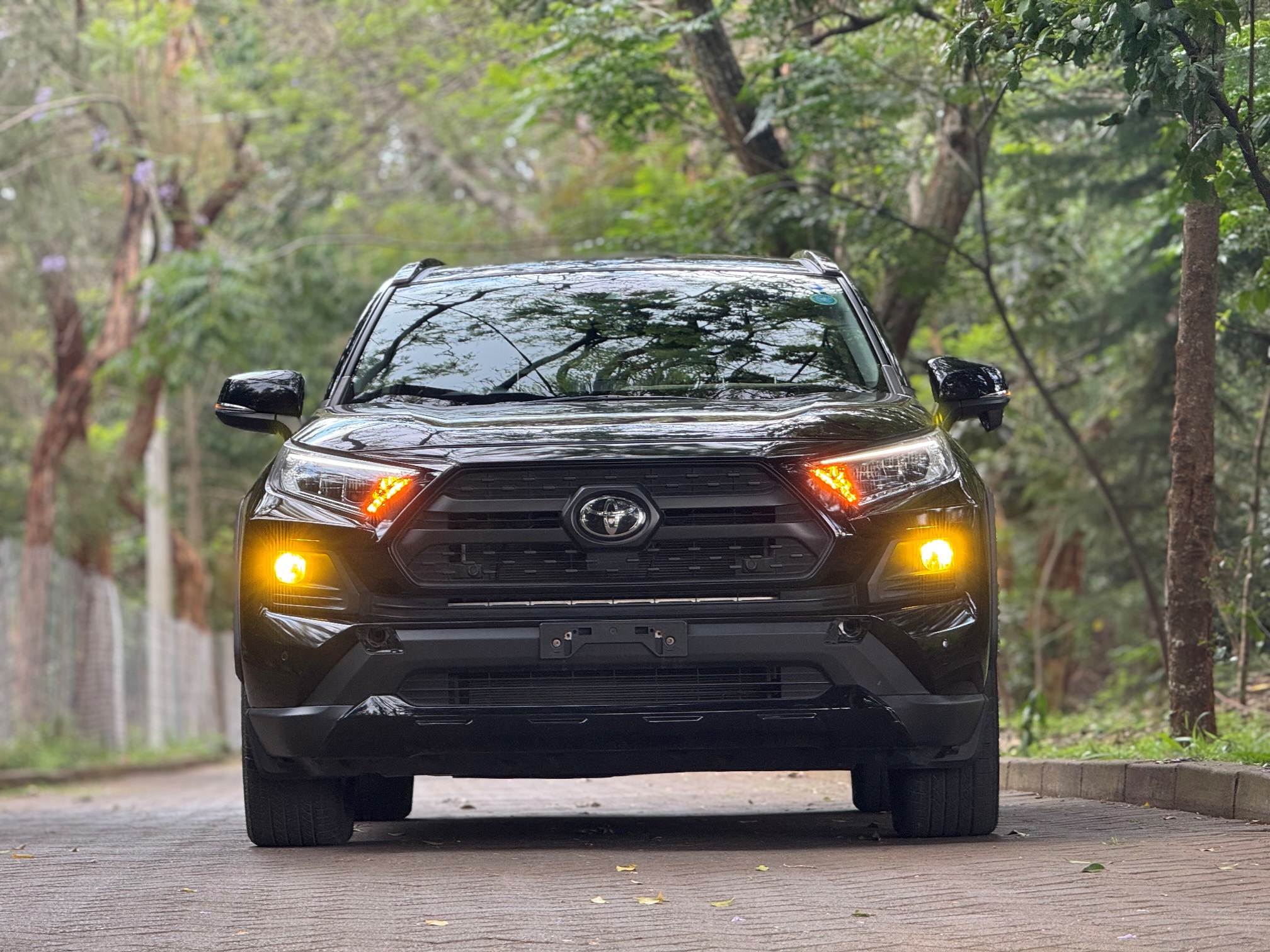 TOYOTA RAV4 ADVENTURE