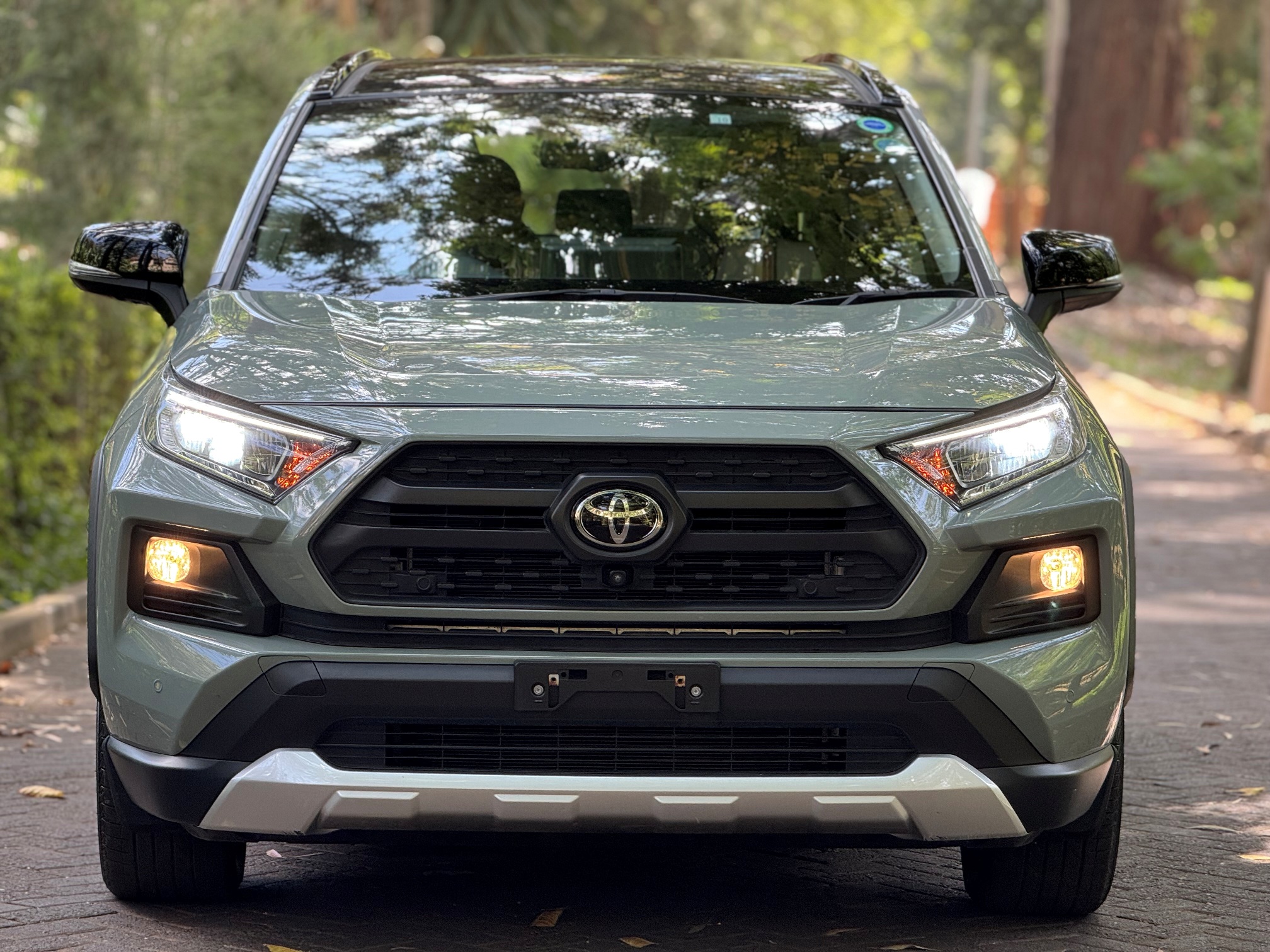 TOYOTA RAV4 ADVENTURE AWD