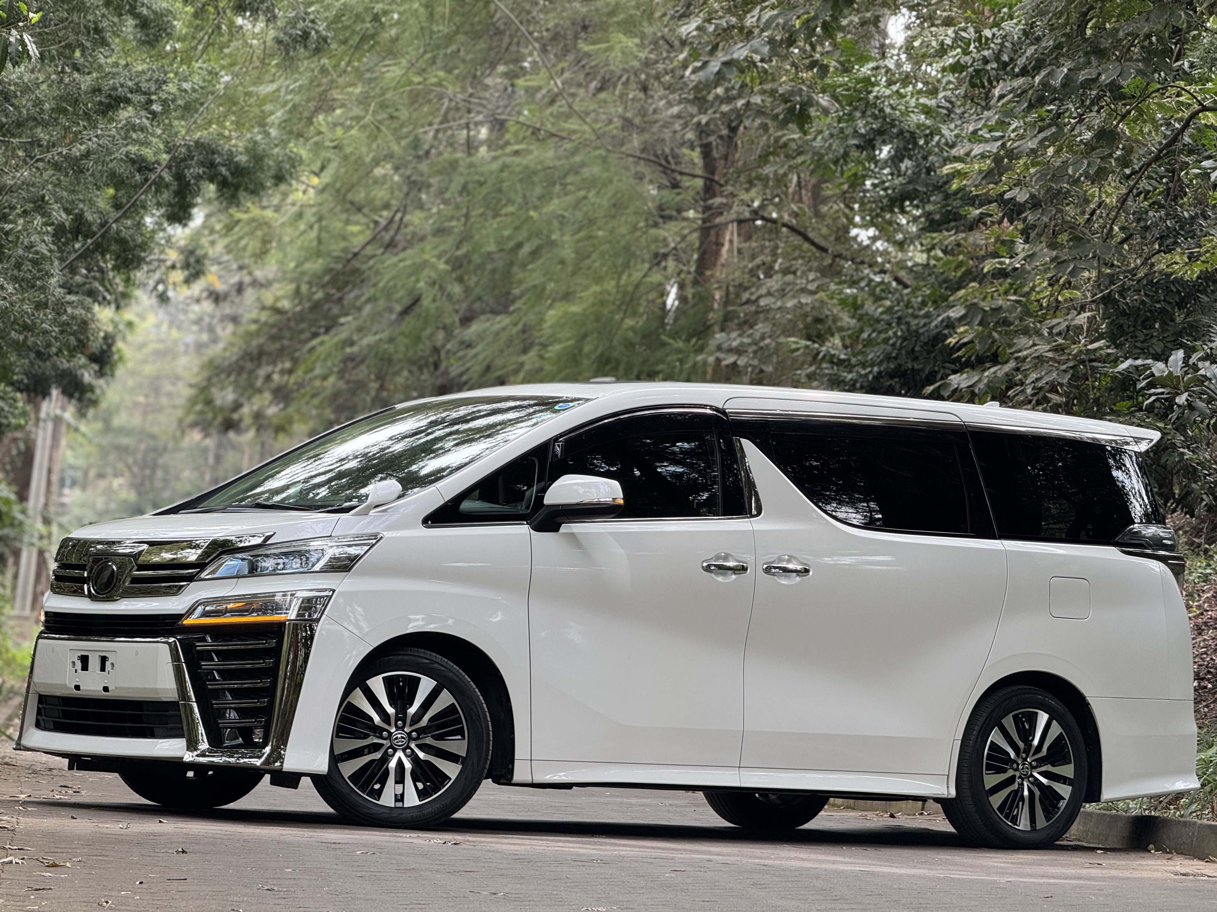 2019 TOYOTA VELLFIRE