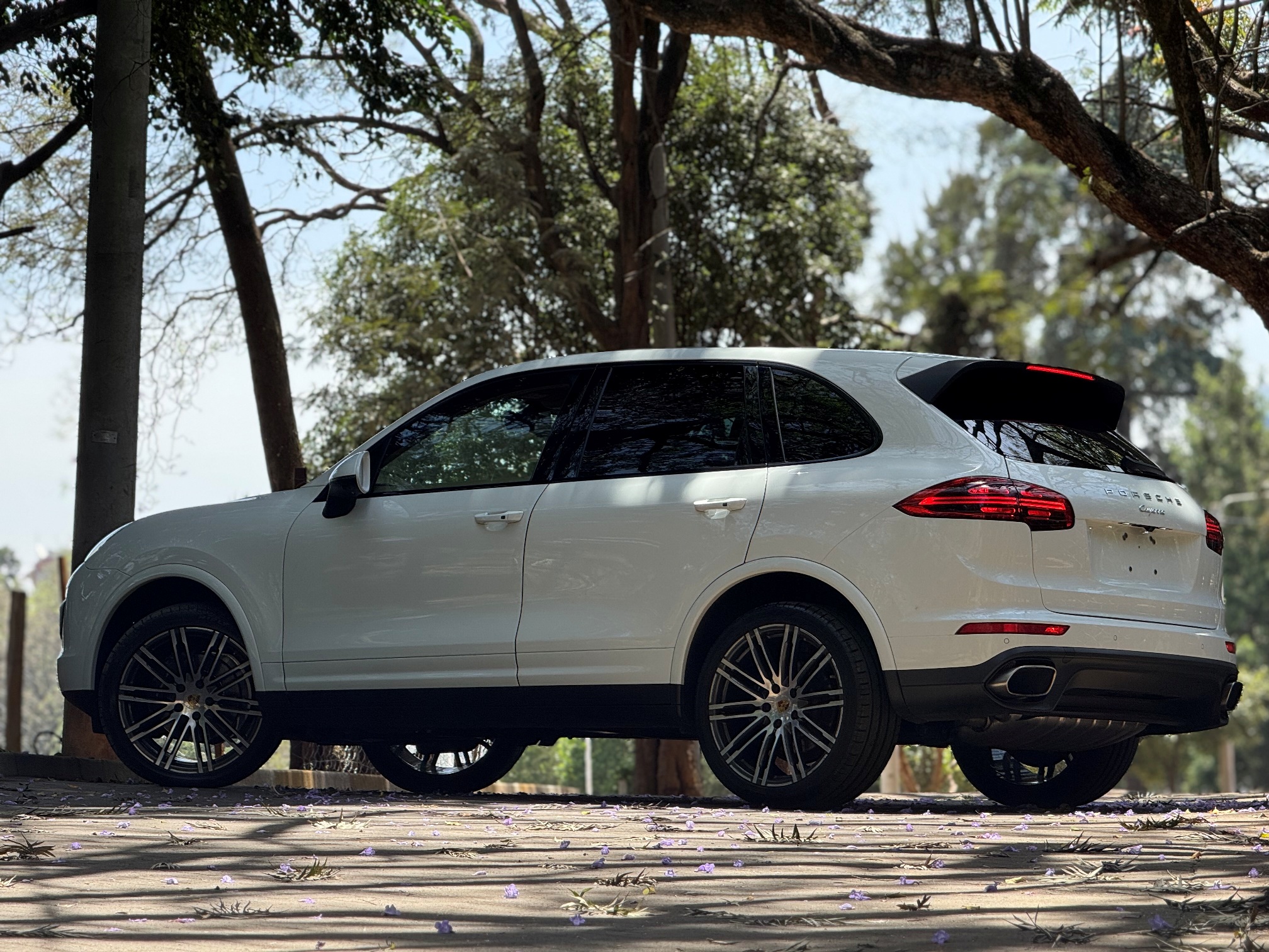 PORSCHE CAYENNE PLATINUM EDITION