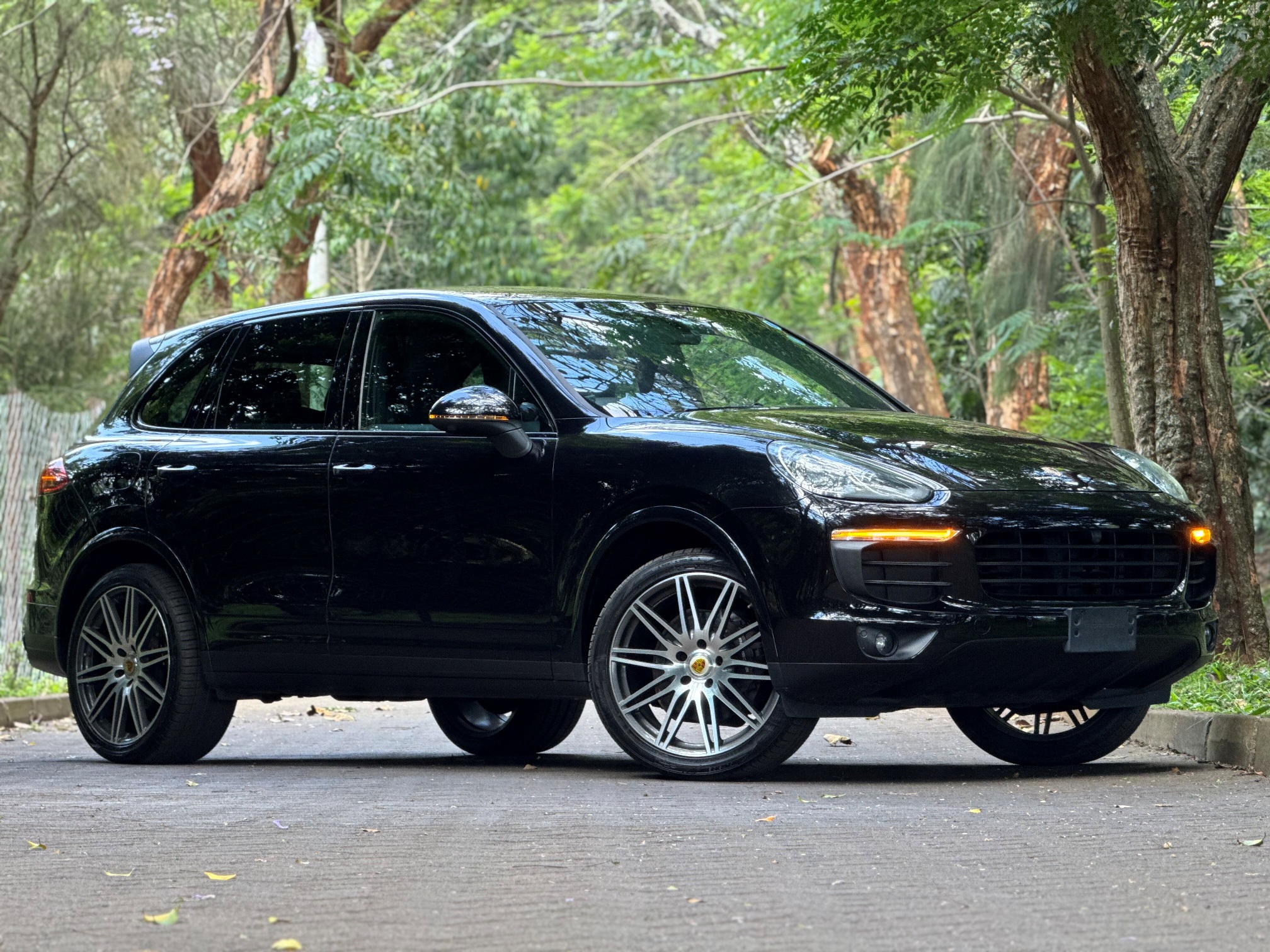 PORSCHE CAYENNE PLATINUM EDITION