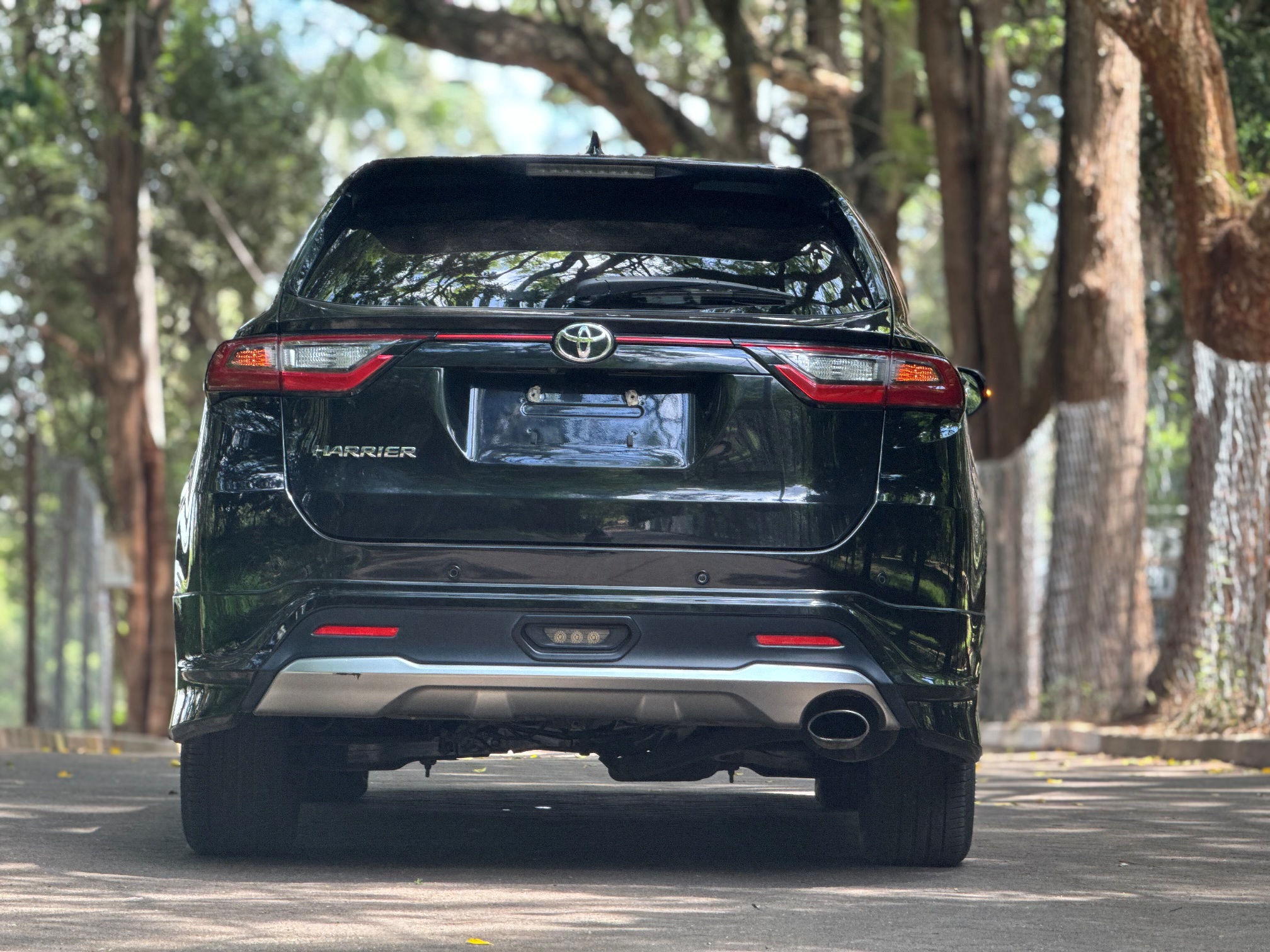 TOYOTA HARRIER TURBO MODELISTA