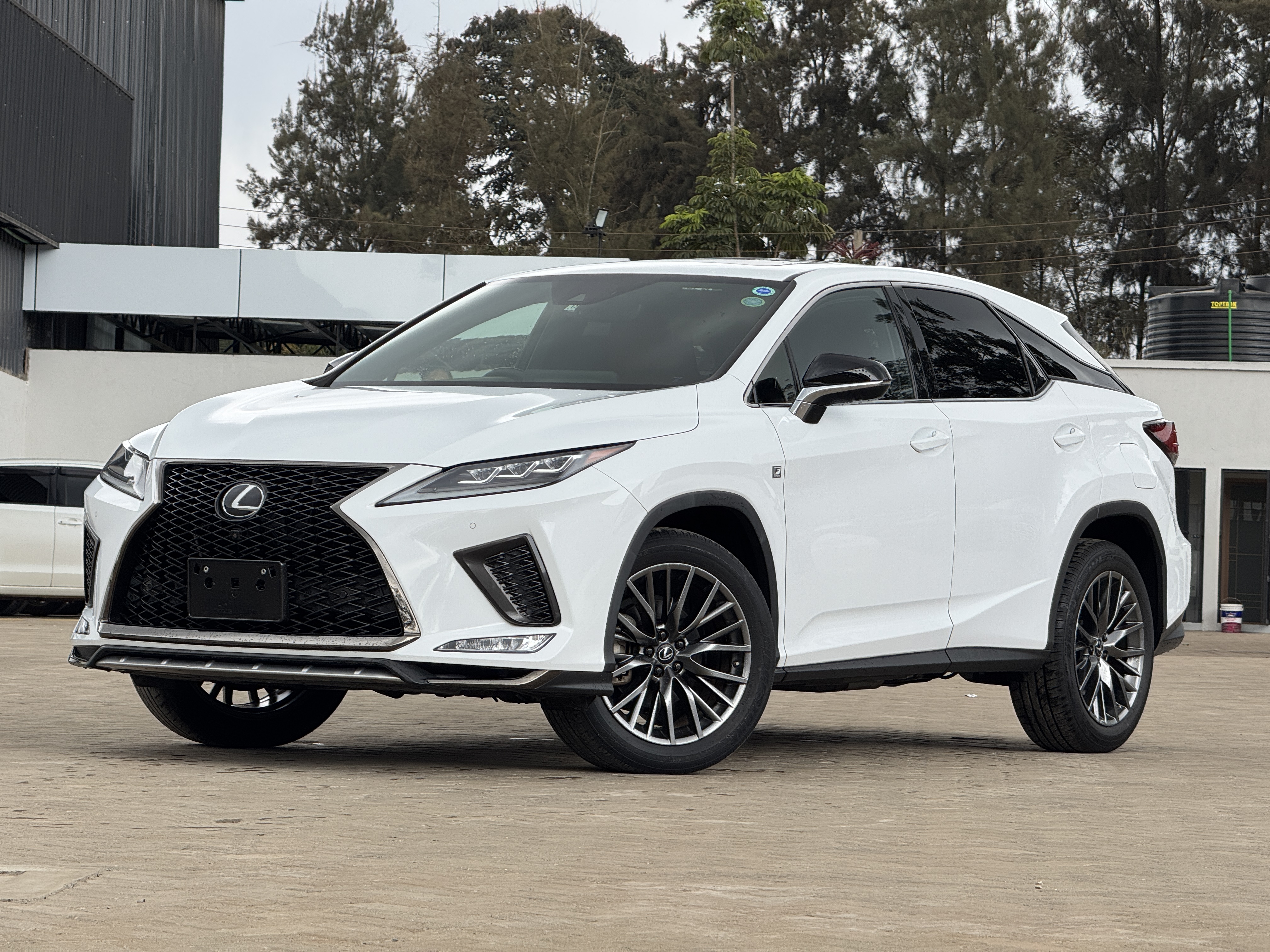 2019 LEXUS RX300