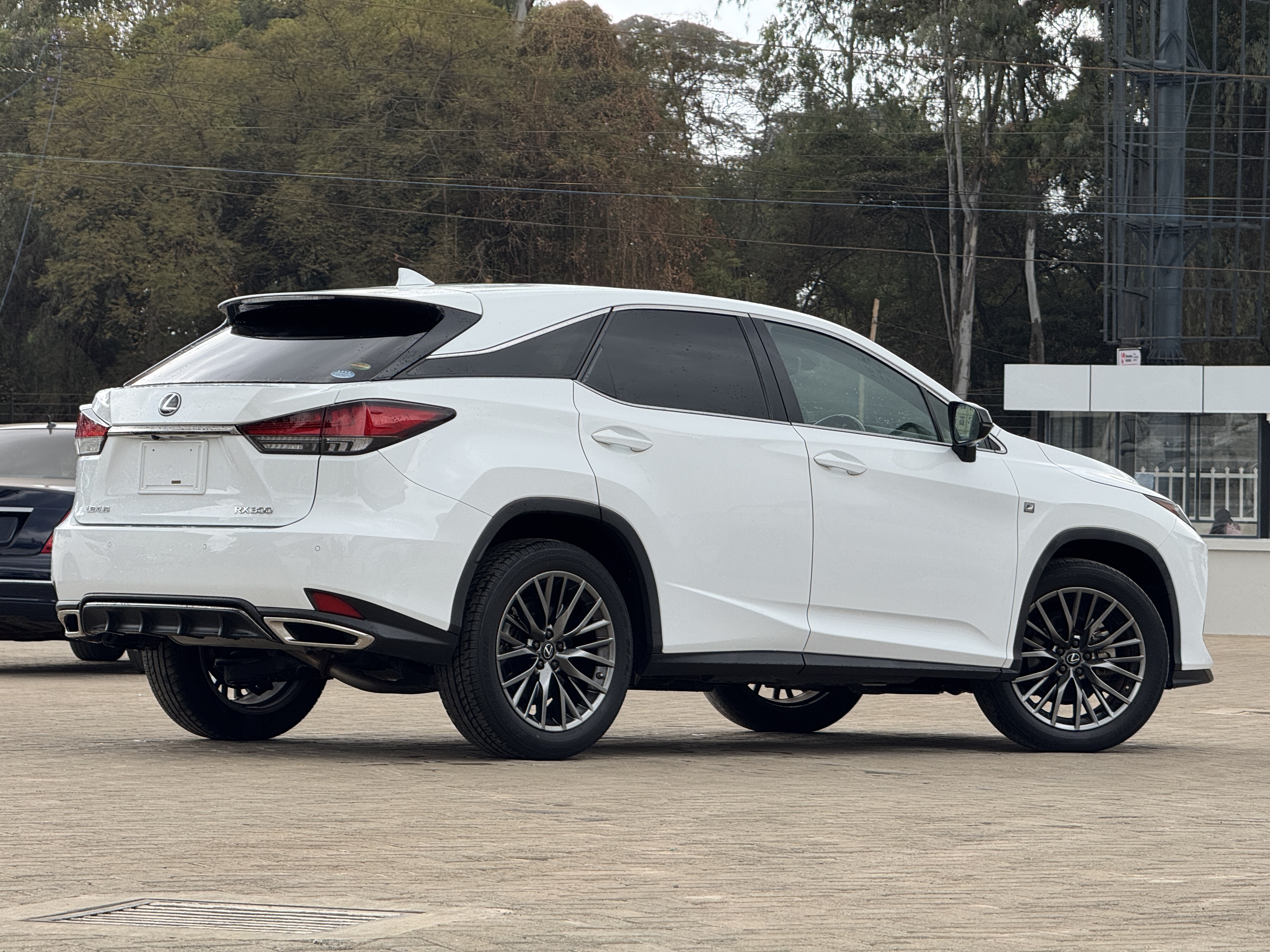 2019 LEXUS RX300