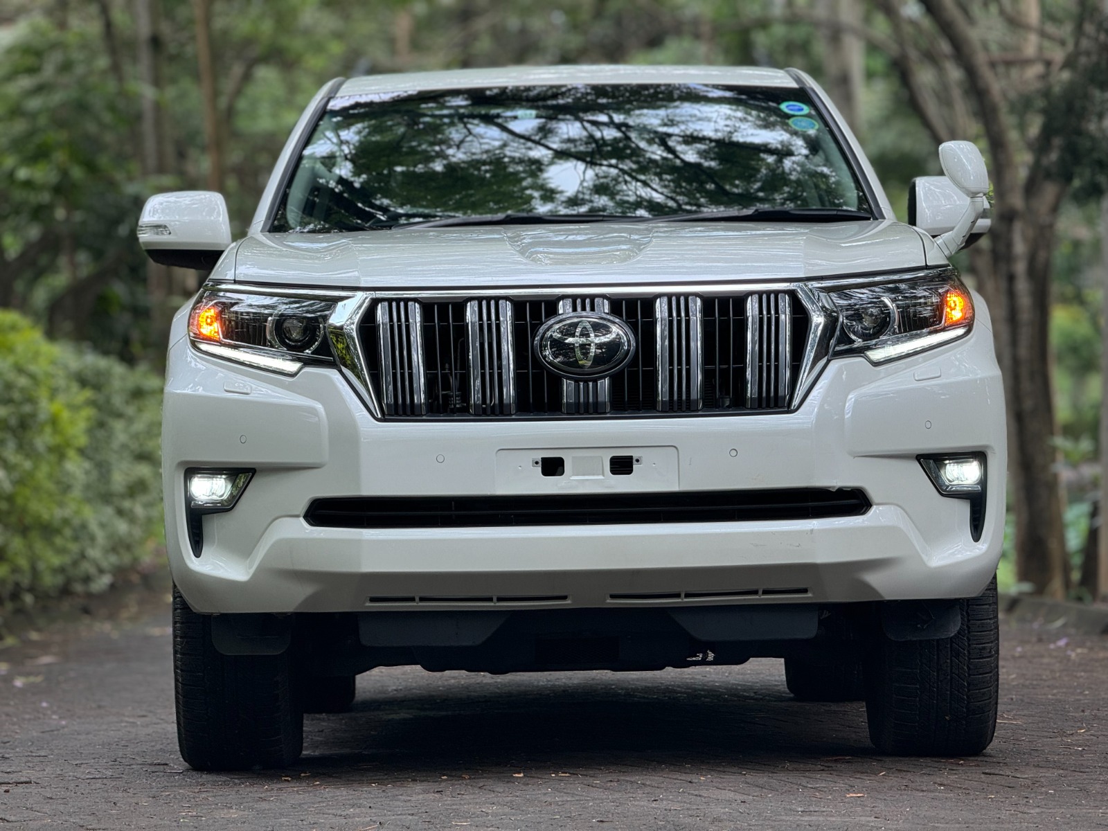 2019 TOYOTA LANDCRUISER PRADO TX.L