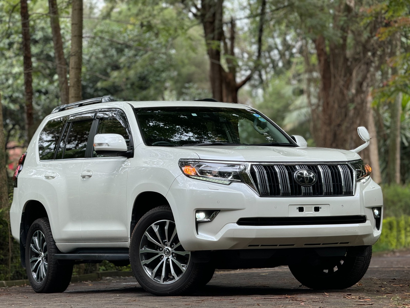 2019 TOYOTA LANDCRUISER PRADO TX.L