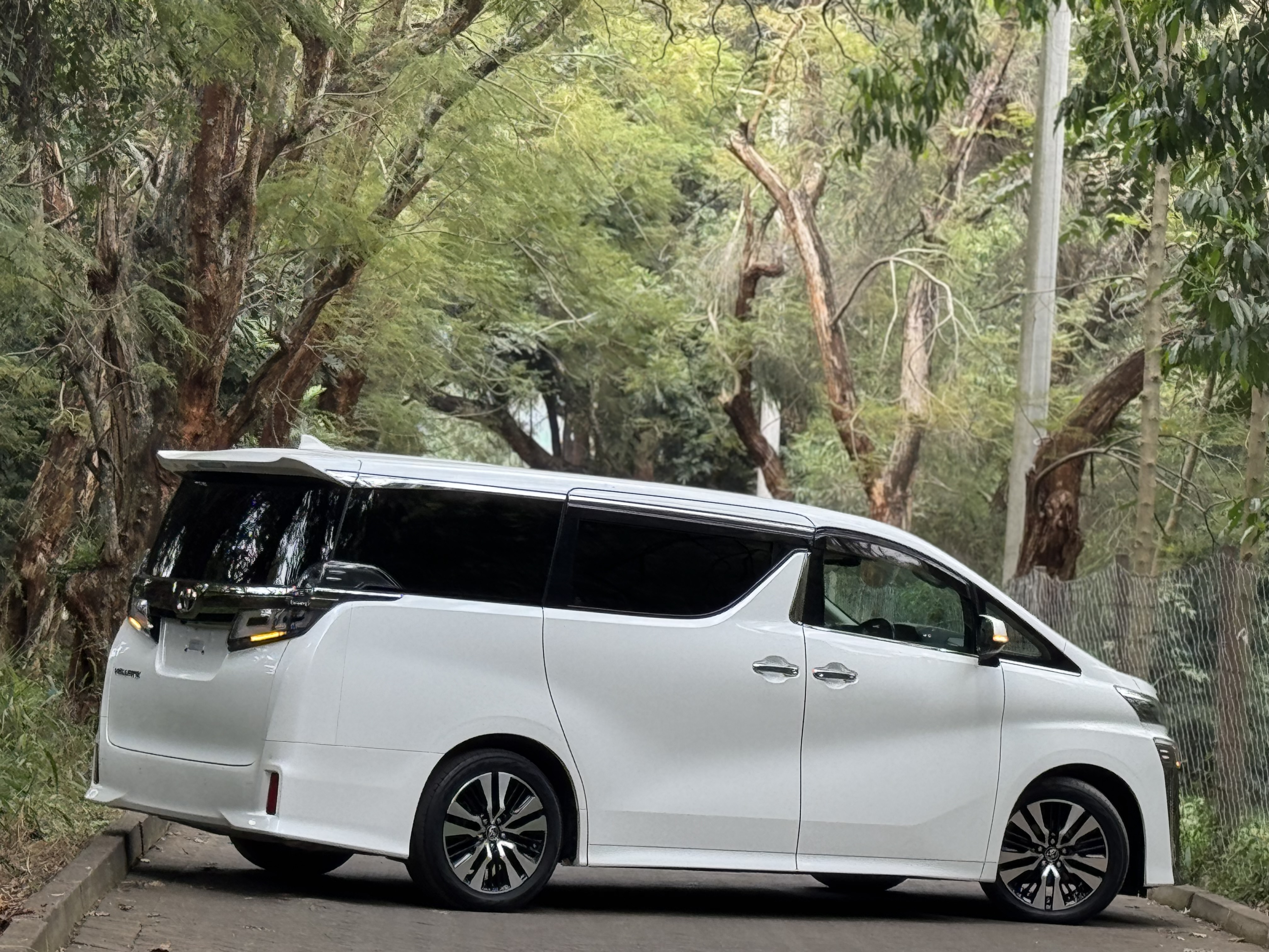2019 TOYOTA VELLFIRE