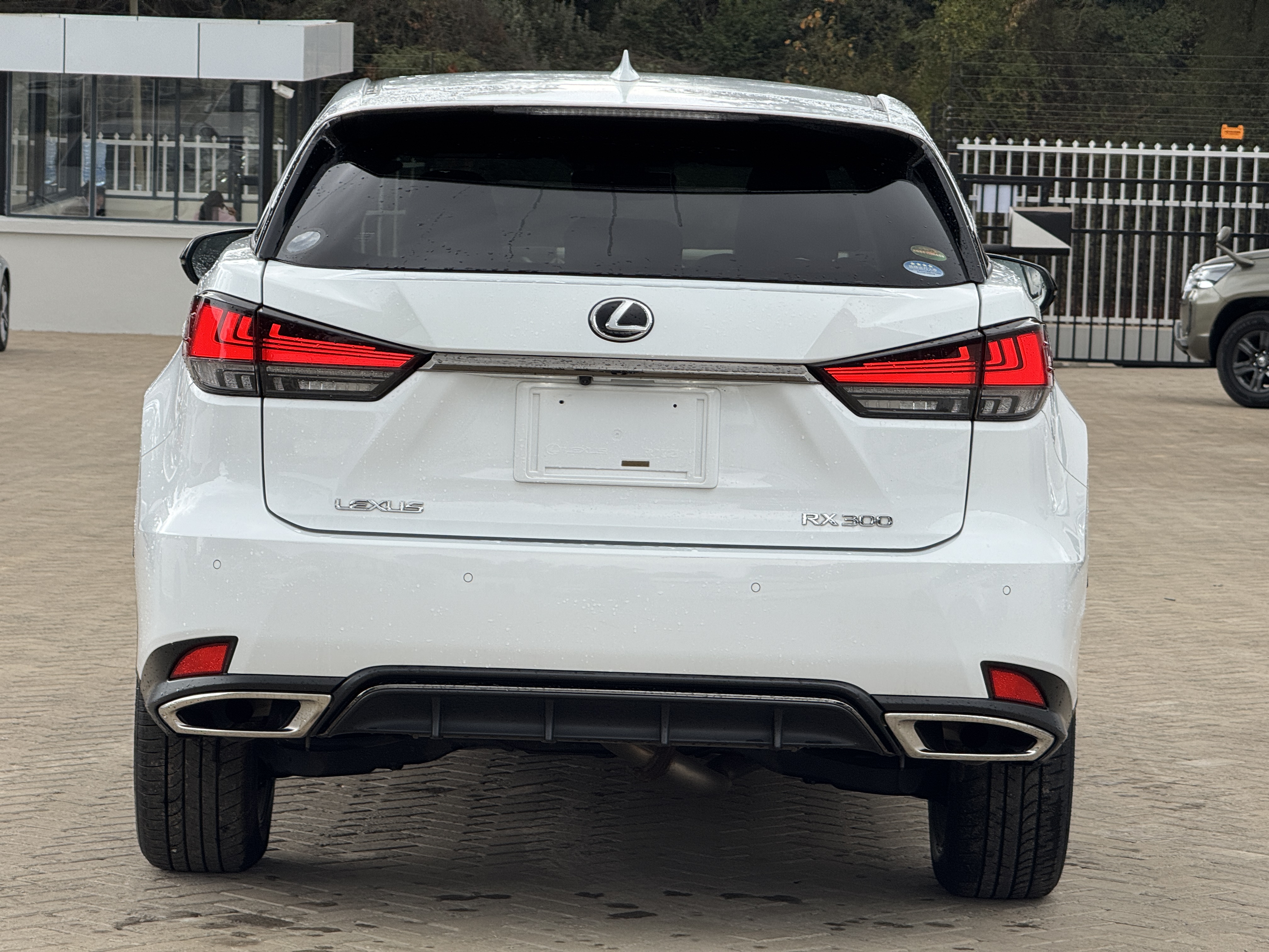 2019 LEXUS RX300