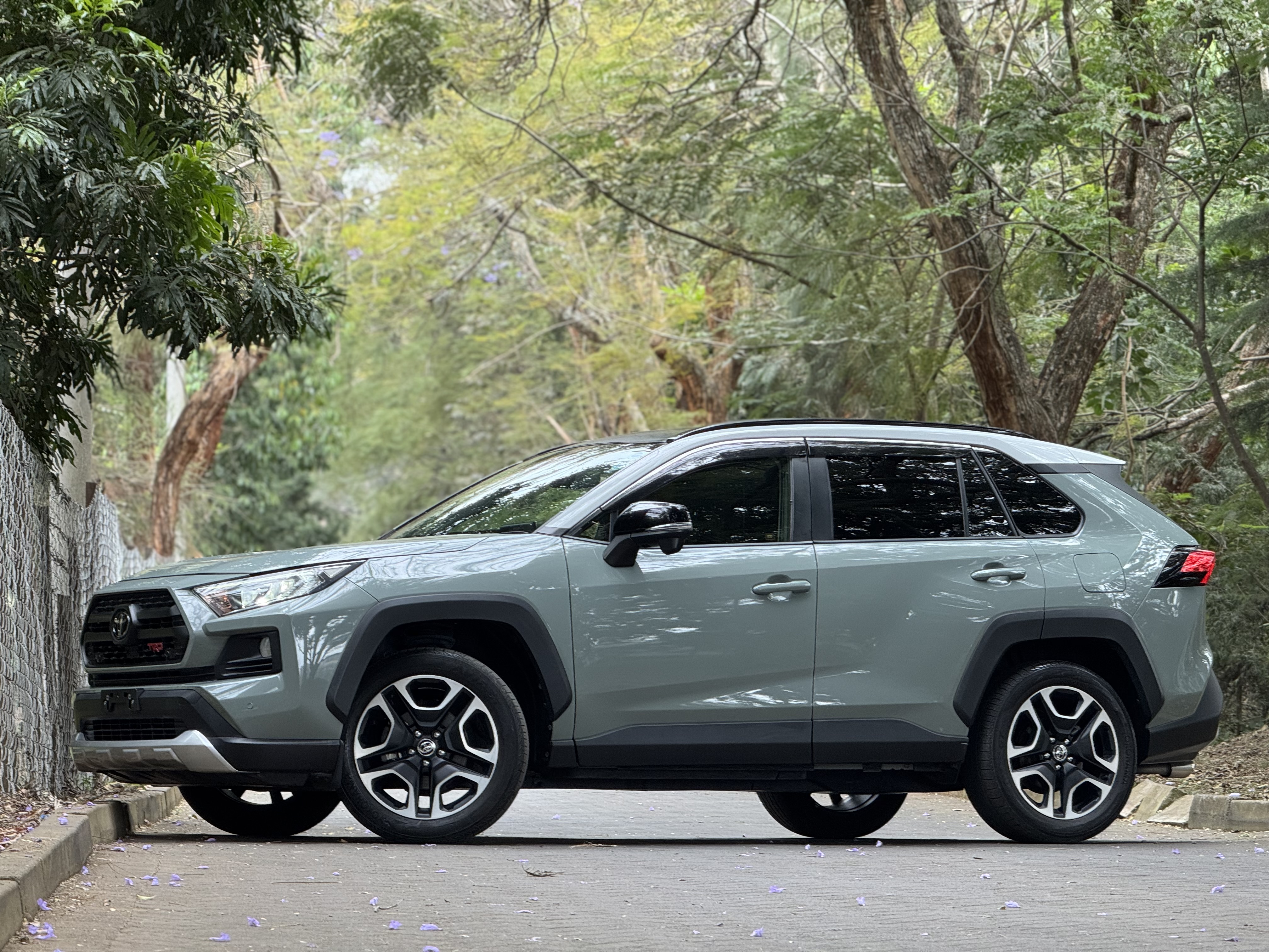 TOYOTA RAV4 ADVENTURE