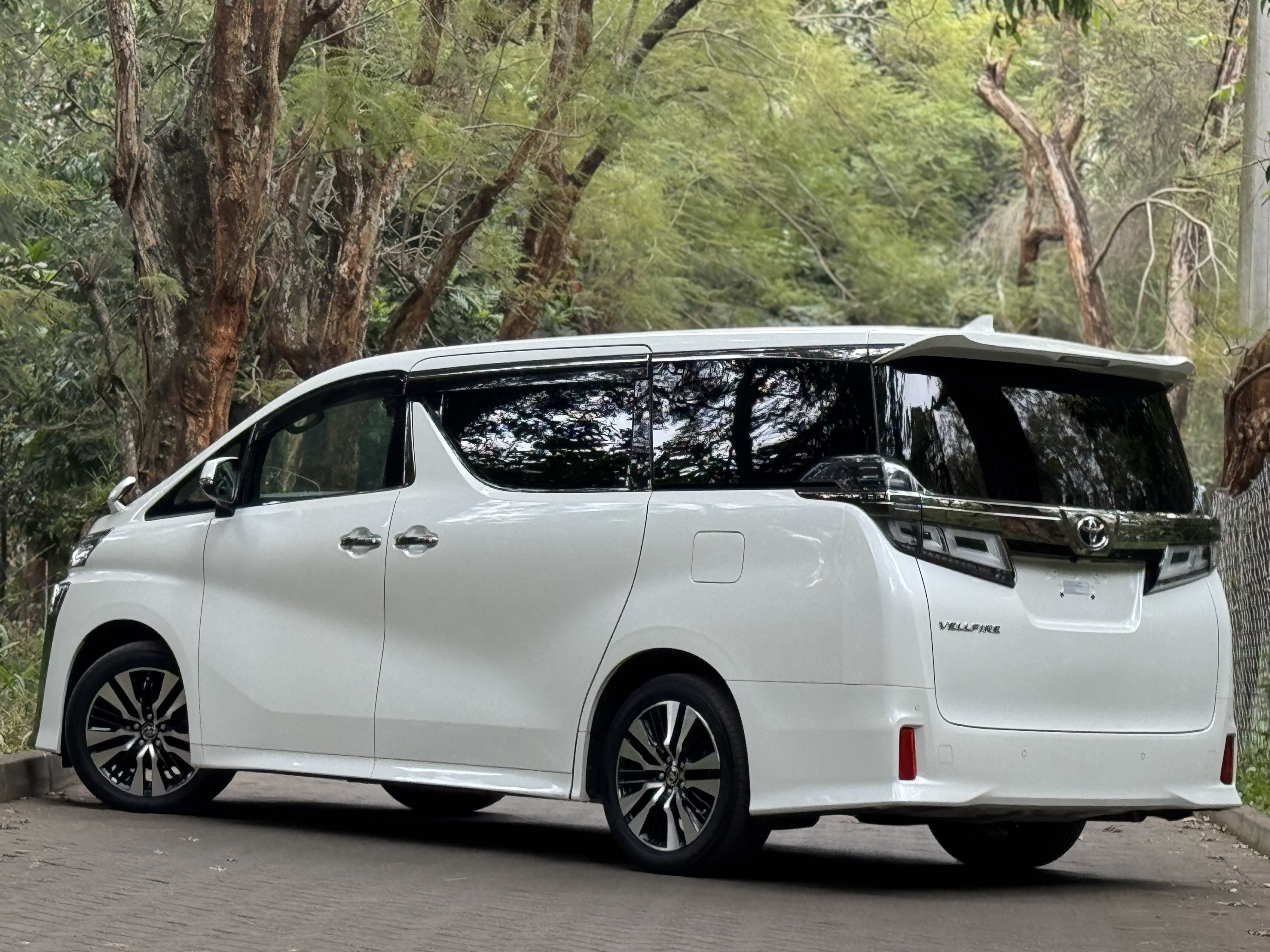 2019 TOYOTA VELLFIRE