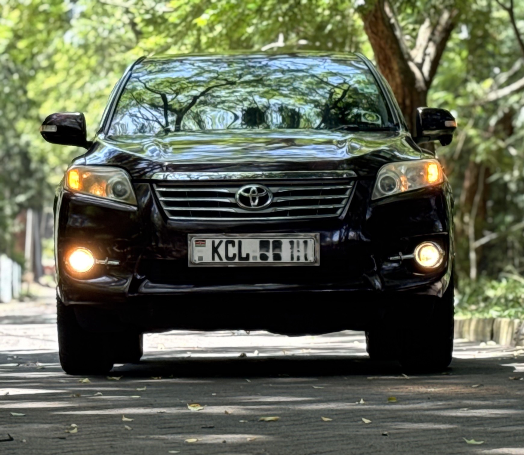 2010 TOYOTA VANGUARD