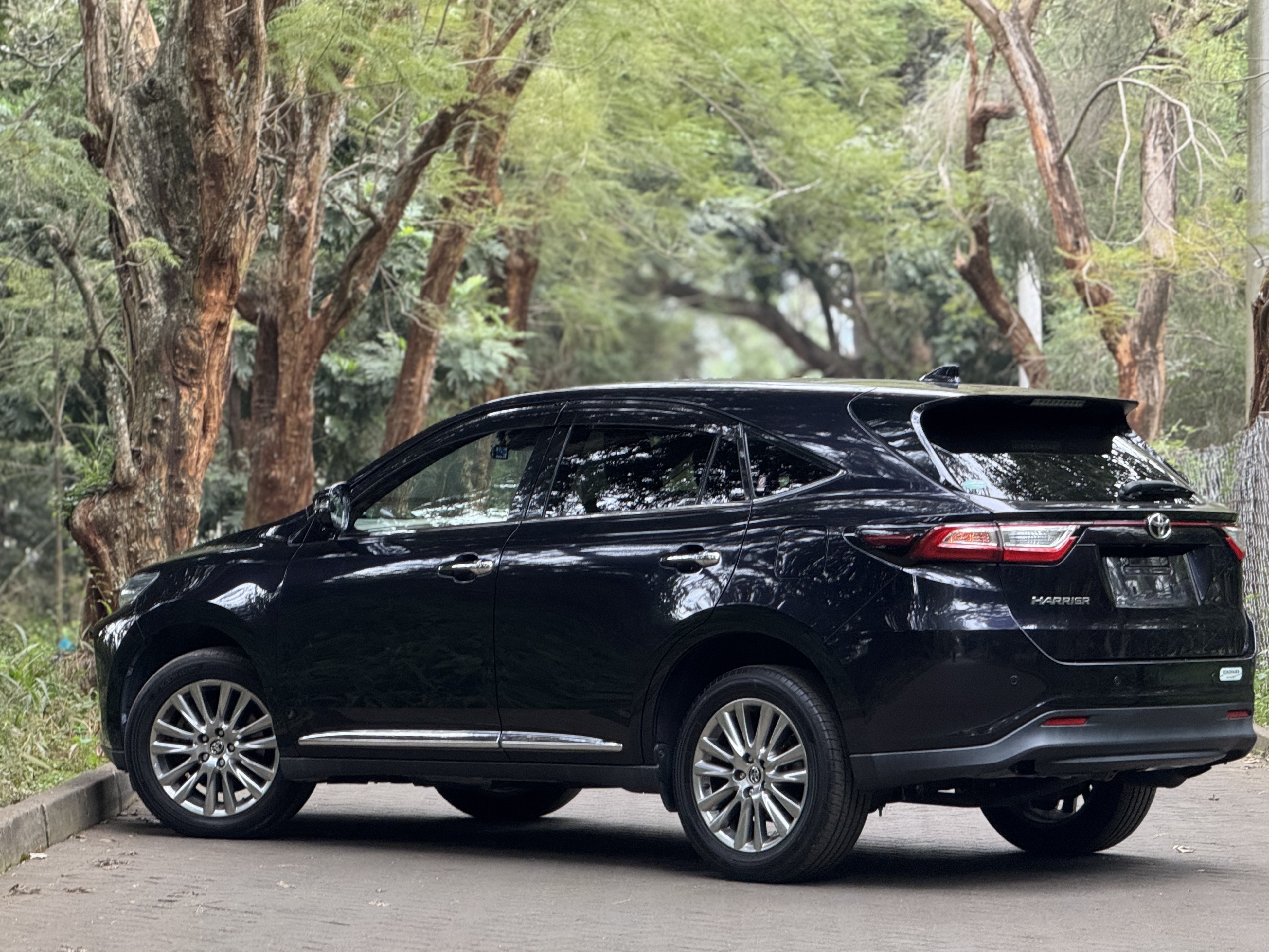 2019 TOYOTA HARRIER
