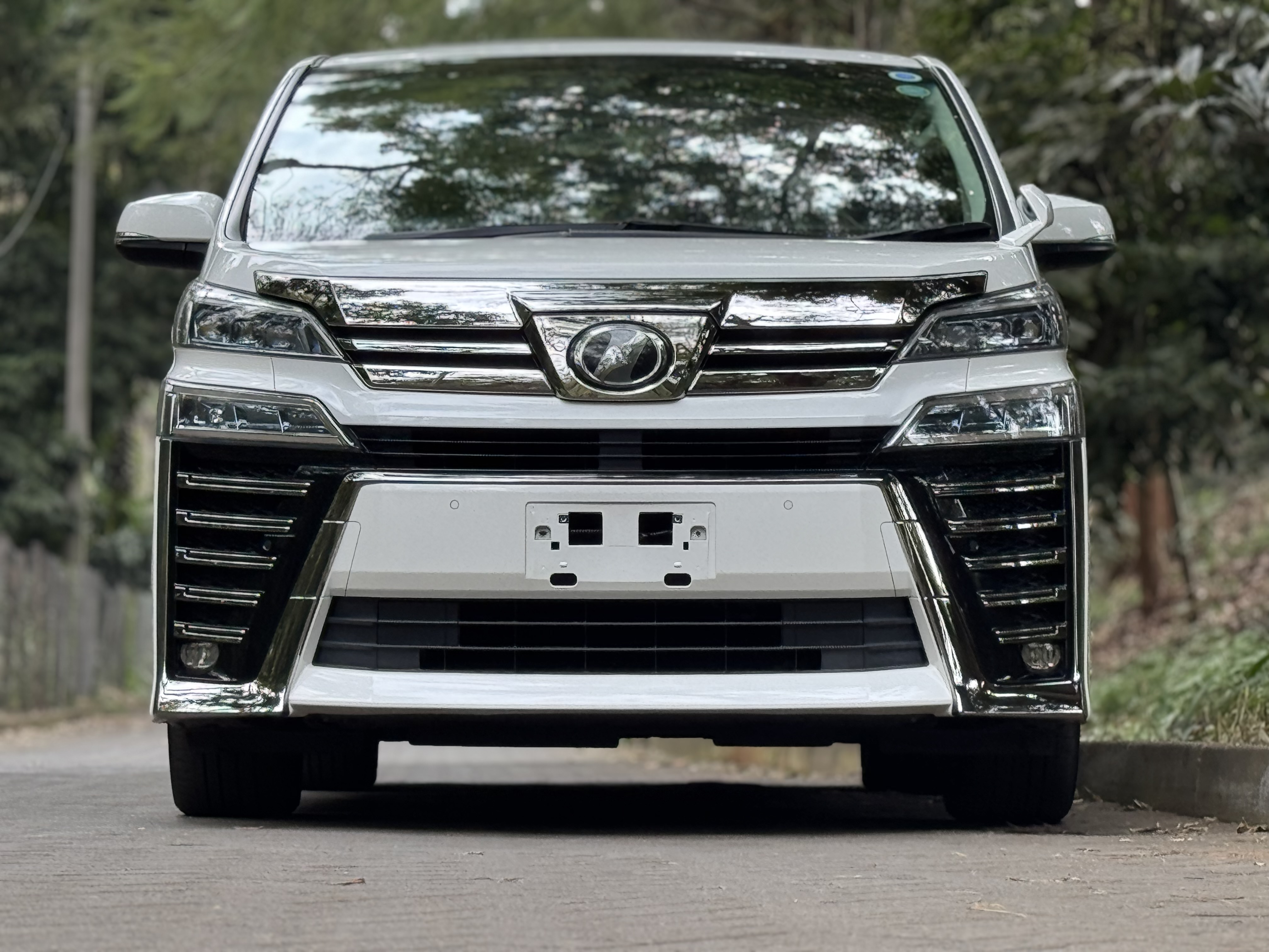 2019 TOYOTA VELLFIRE