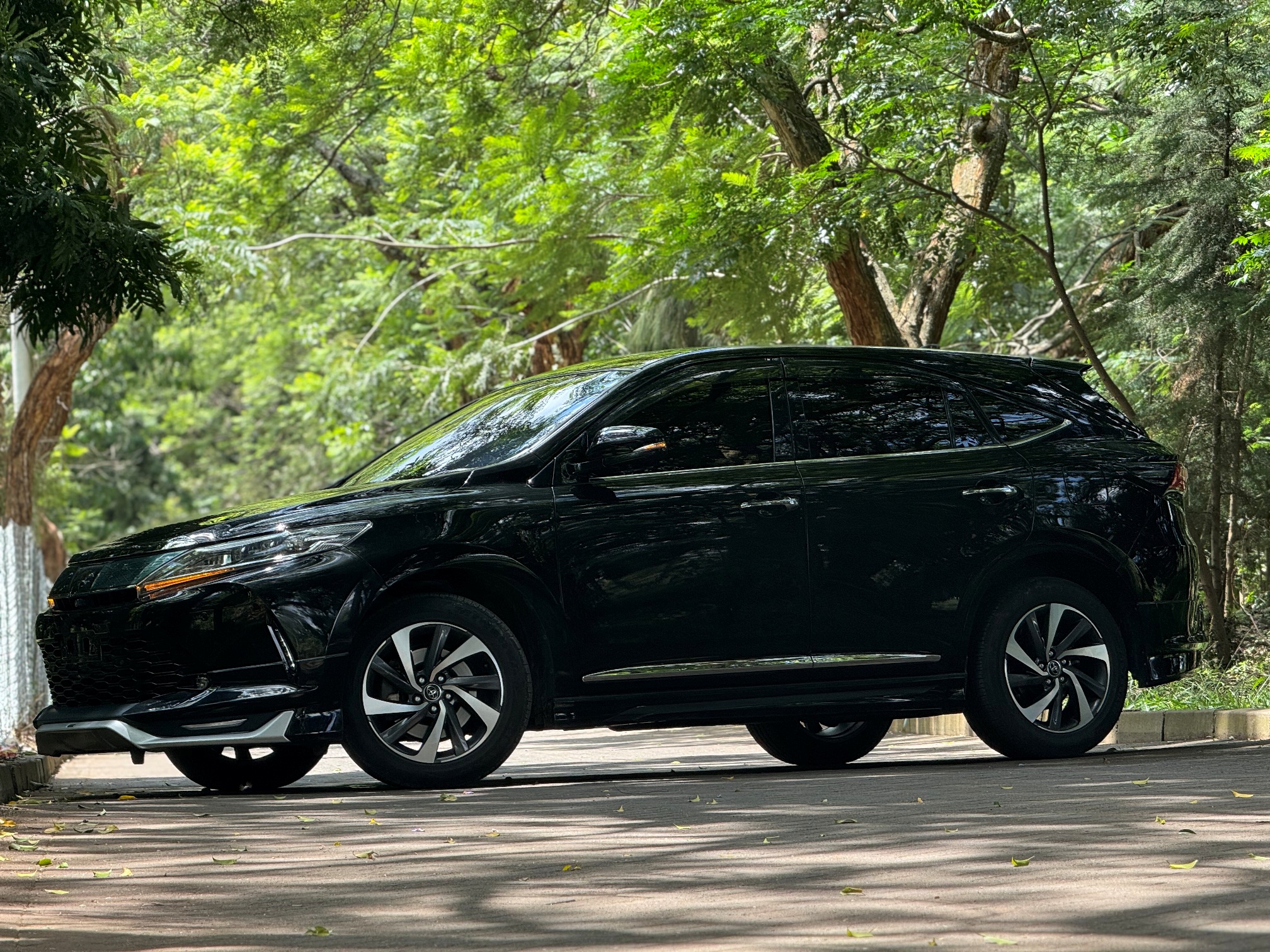 TOYOTA HARRIER TURBO MODELISTA