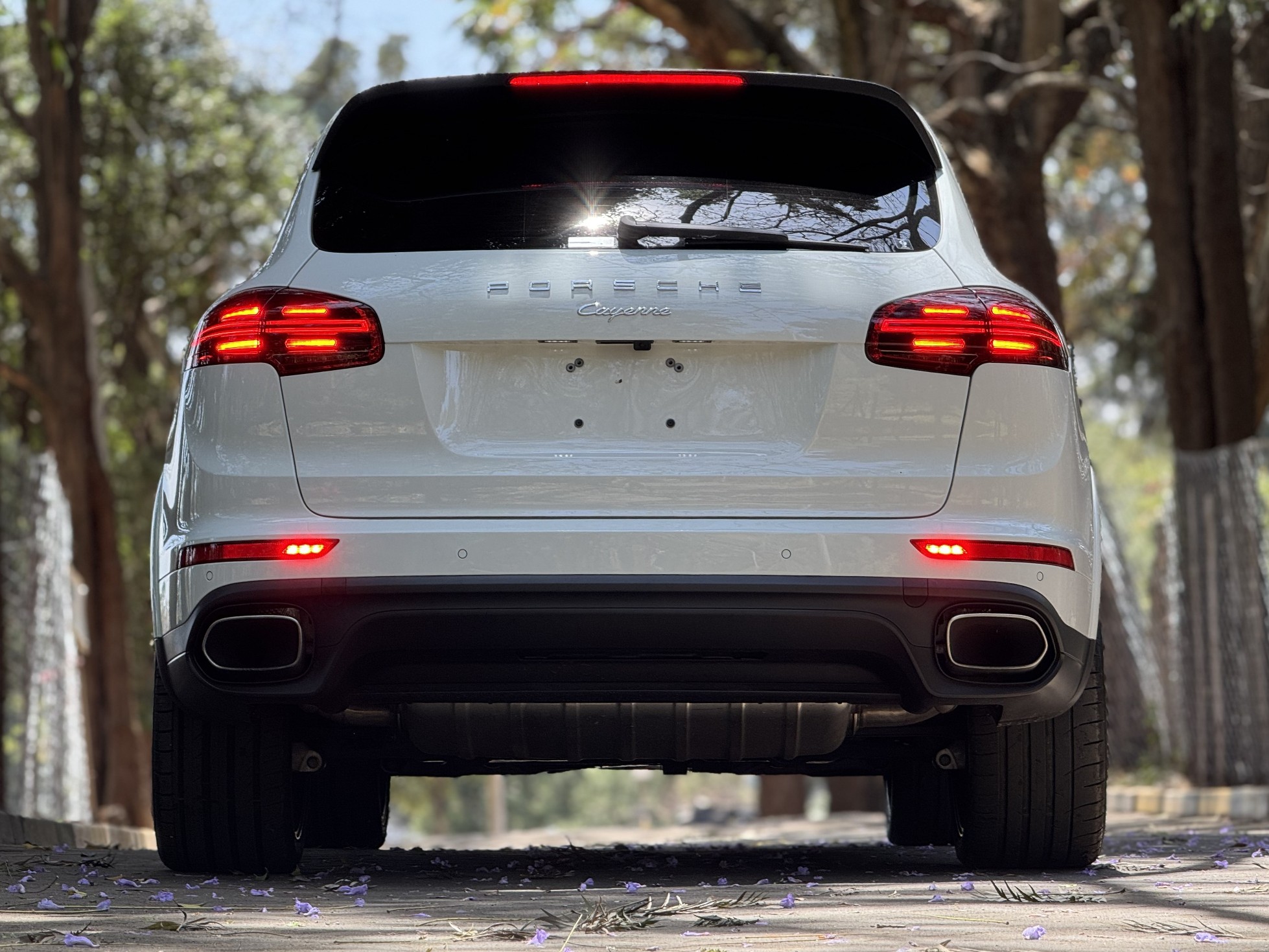 PORSCHE CAYENNE PLATINUM EDITION