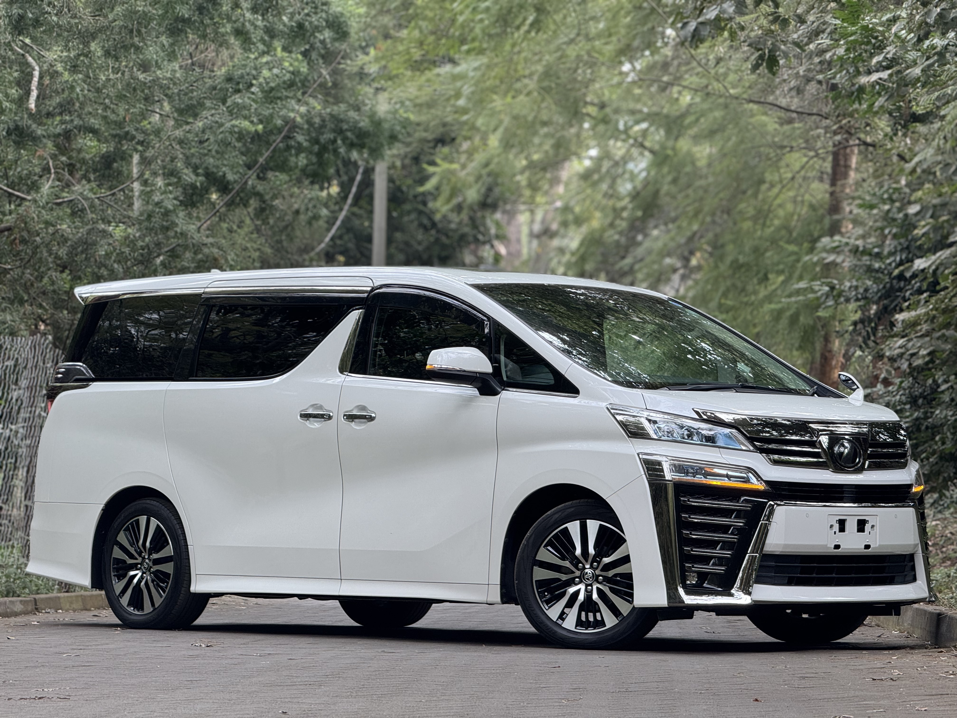 2019 TOYOTA VELLFIRE