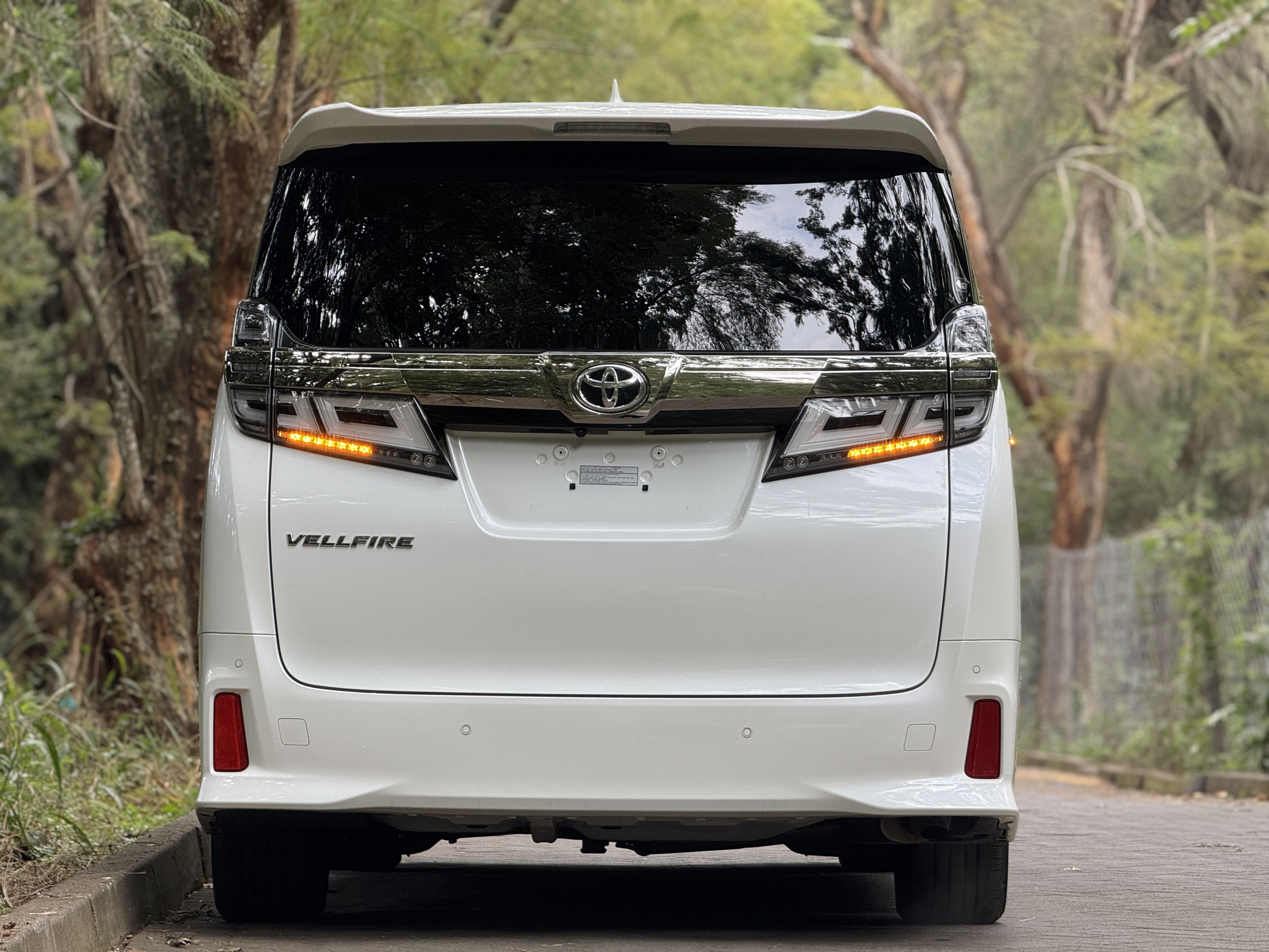 2019 TOYOTA VELLFIRE