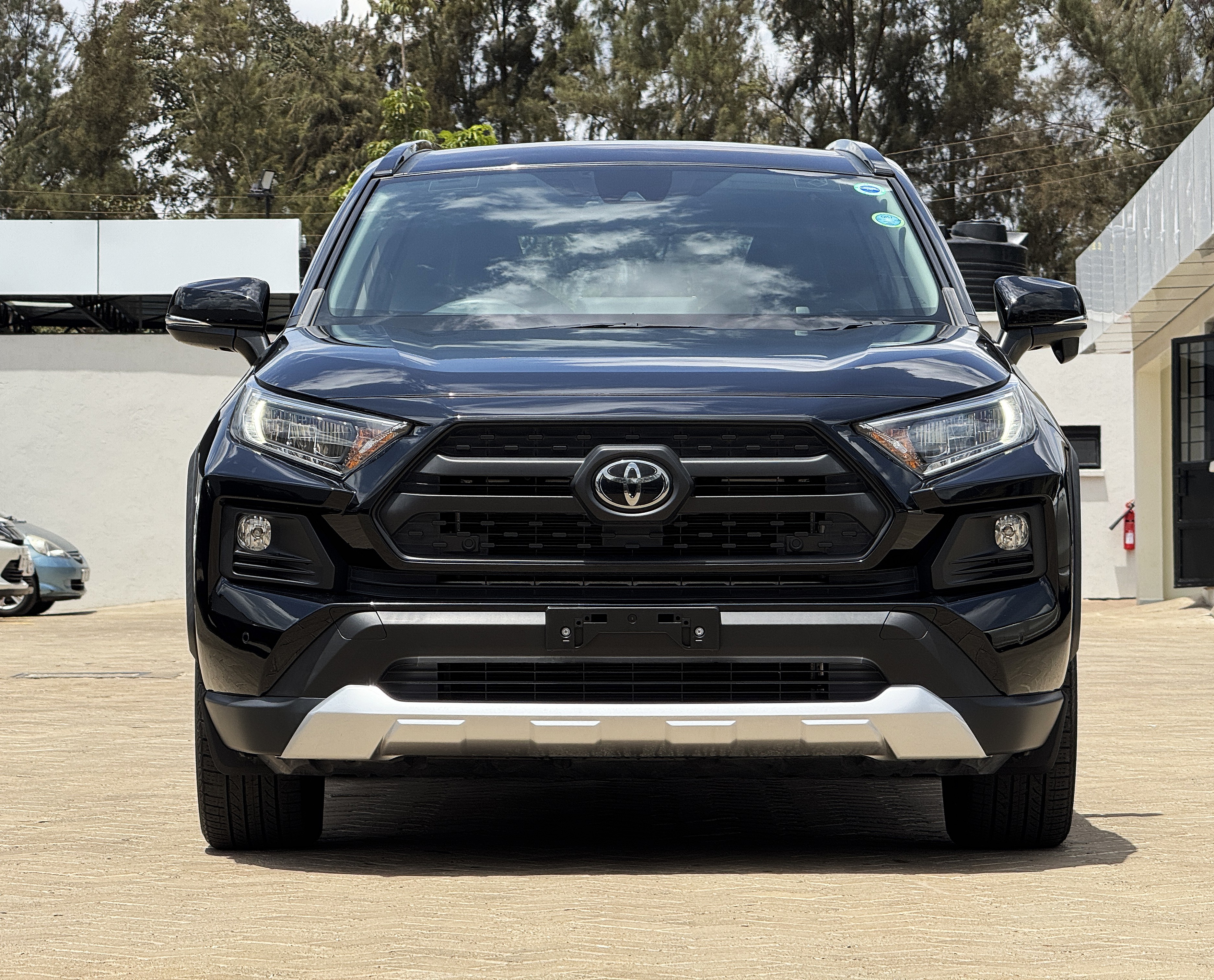 2019 TOYOTA RAV4 ADVENTURE