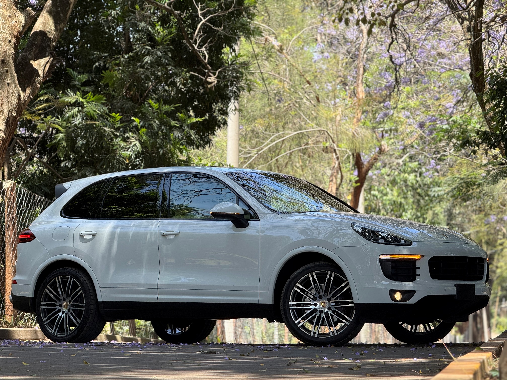 PORSCHE CAYENNE PLATINUM EDITION